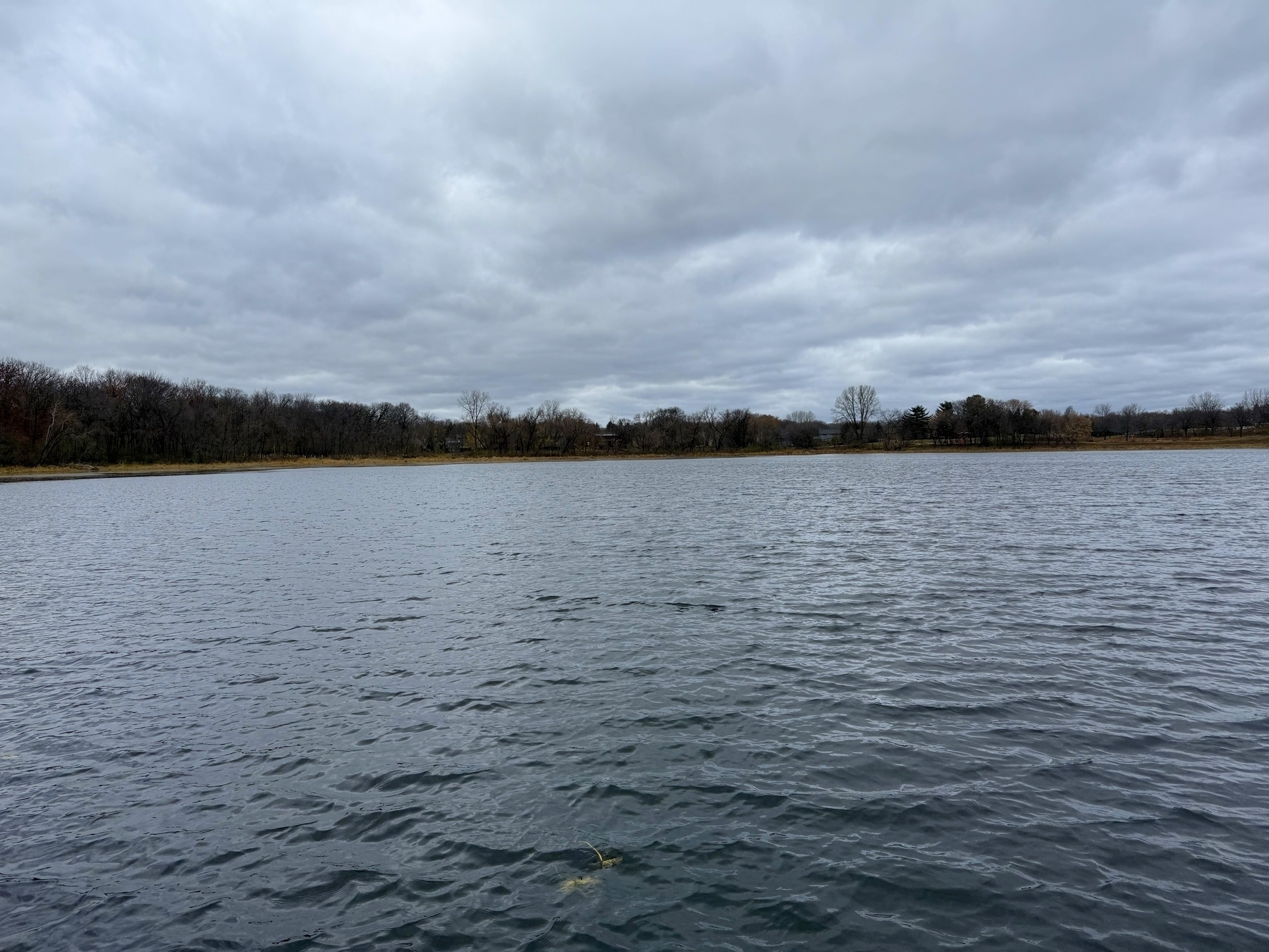 A large, calm body of water reflects a cloudy sky, surrounded by a forest of bare trees in a serene landscape.