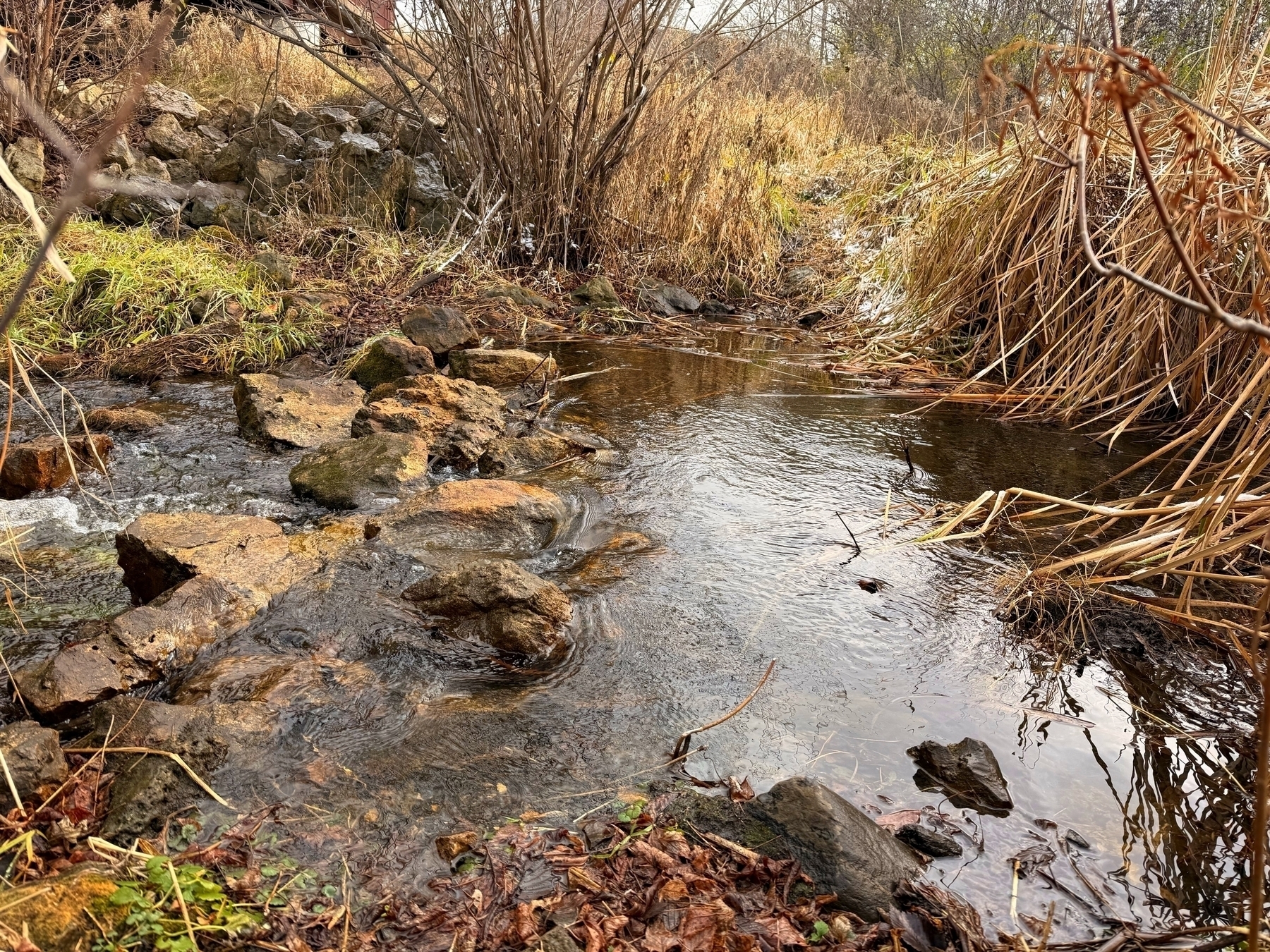 Stream flows gently over rocks, surrounded by dry grasses and shrubs. The setting is an autumn landscape with a slightly overcast sky, creating a peaceful, natural scene.