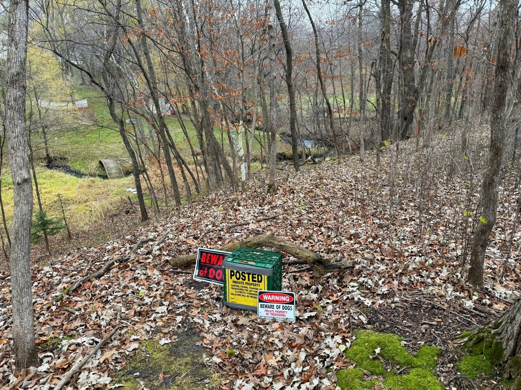 Signs lie on a forest floor covered in dry leaves, warning “Posted: Private Property” and “Beware of Dogs.” Bare trees and a small stream create a wooded backdrop.