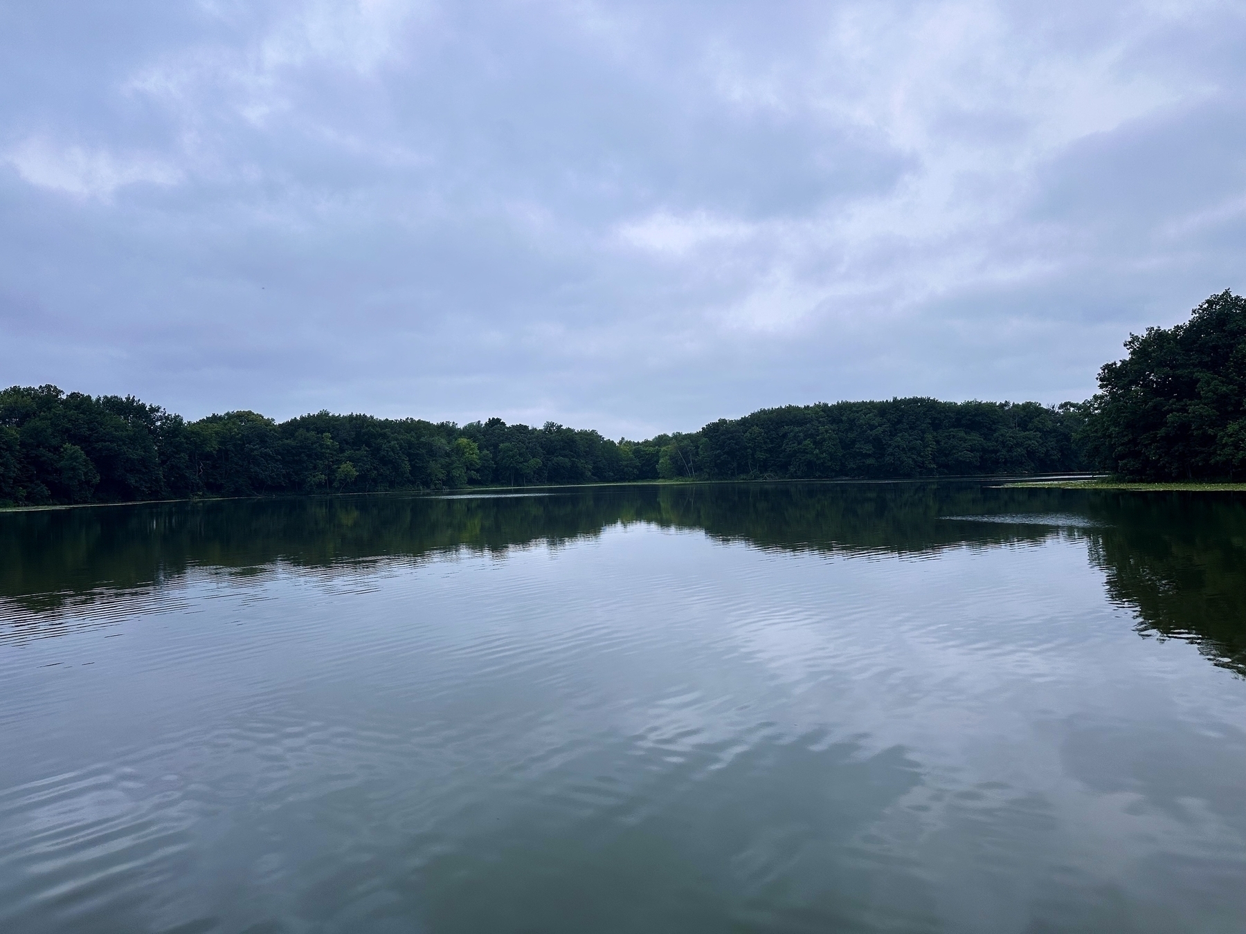 Calm lake reflecting the cloudy sky bordered by dense green forest creating a serene and peaceful atmosphere.