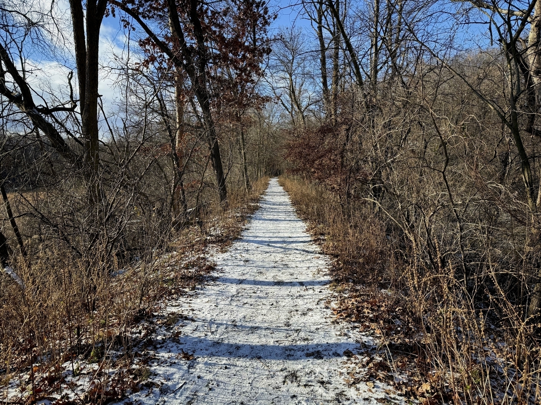 Snow-dusted path stretches into the distance, flanked by leafless trees with sparse brown foliage, under a blue sky with scattered clouds.