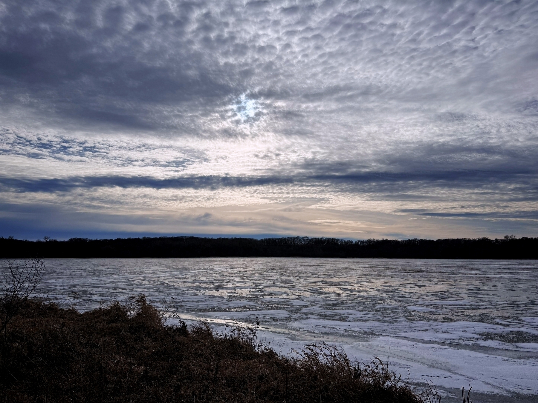 Frozen lake stretches under a textured sky, with sparse vegetation framing its edge. Dark tree line silhouettes the horizon, adding depth to the tranquil, wintry scene.