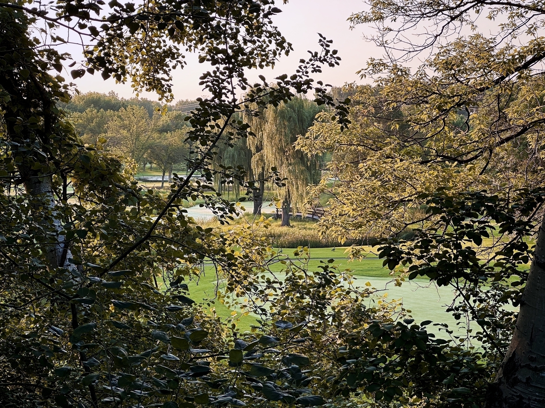 Framed by tree branches, a serene golf course with lush green grass stretches out, featuring a small pond and trees in the distance under a clear sky.