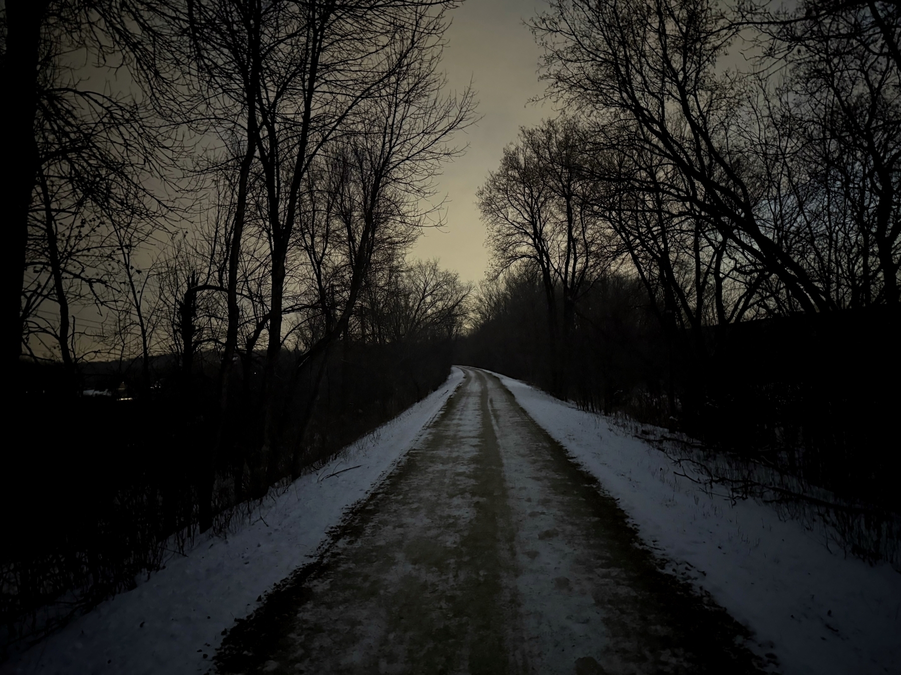 A snow-covered path extends into the distance, flanked by bare trees under a dim, overcast sky, creating a serene and quiet winter scene.