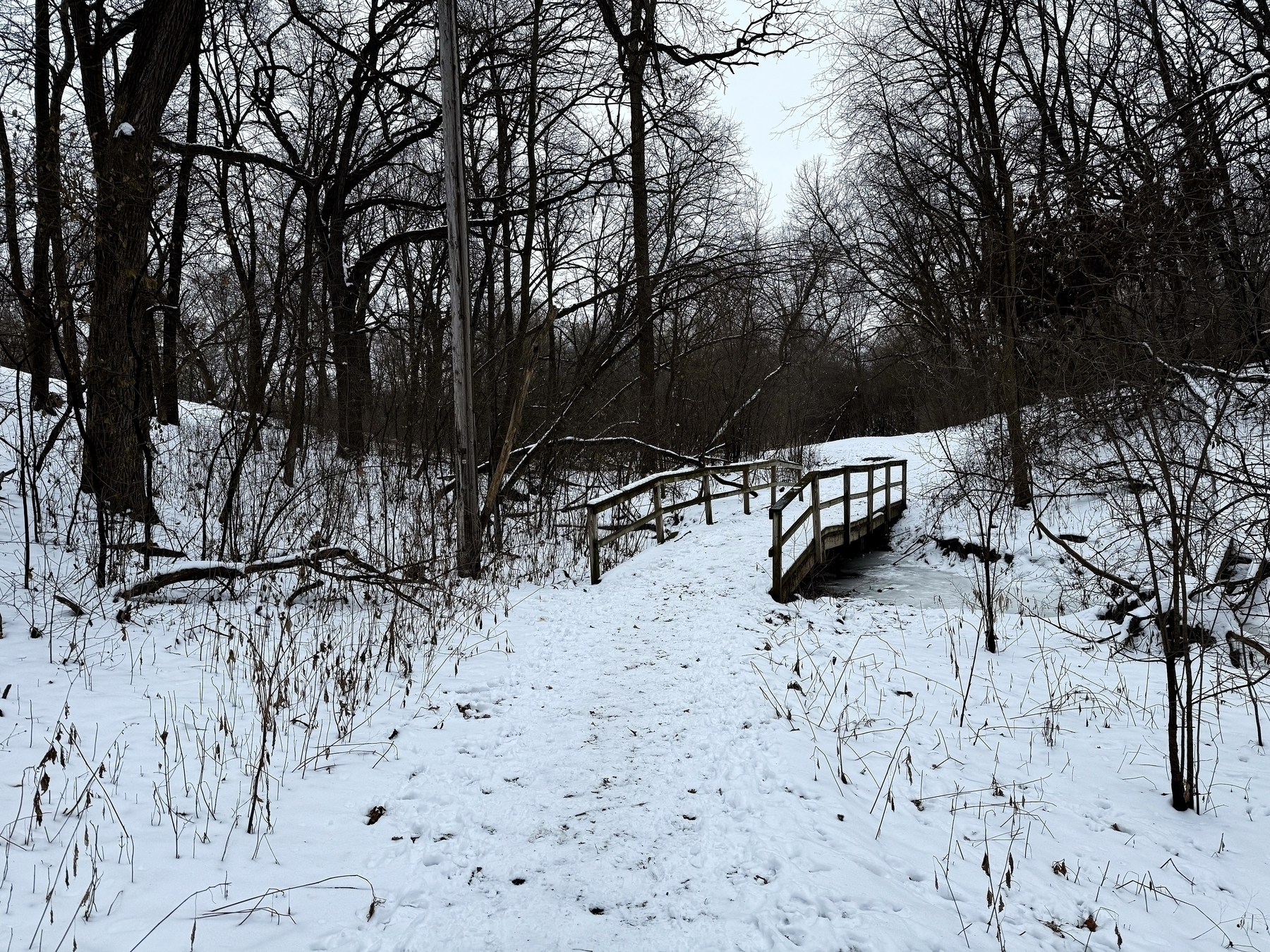 A wooden footbridge crosses a small creek, surrounded by bare trees and ground blanketed in snow, creating a quiet, wintry forest scene.