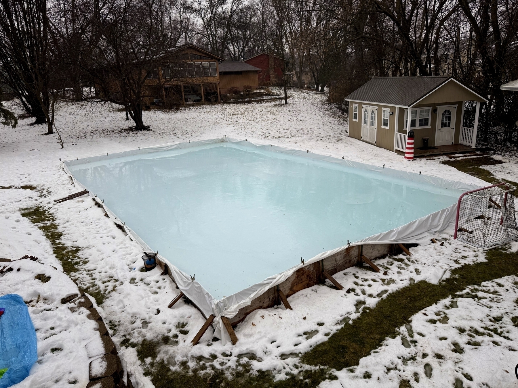 A backyard ice rink is surrounded by snow, bordered with a wooden frame, and has a hockey net set up alongside it. A small shed is visible nearby among trees.