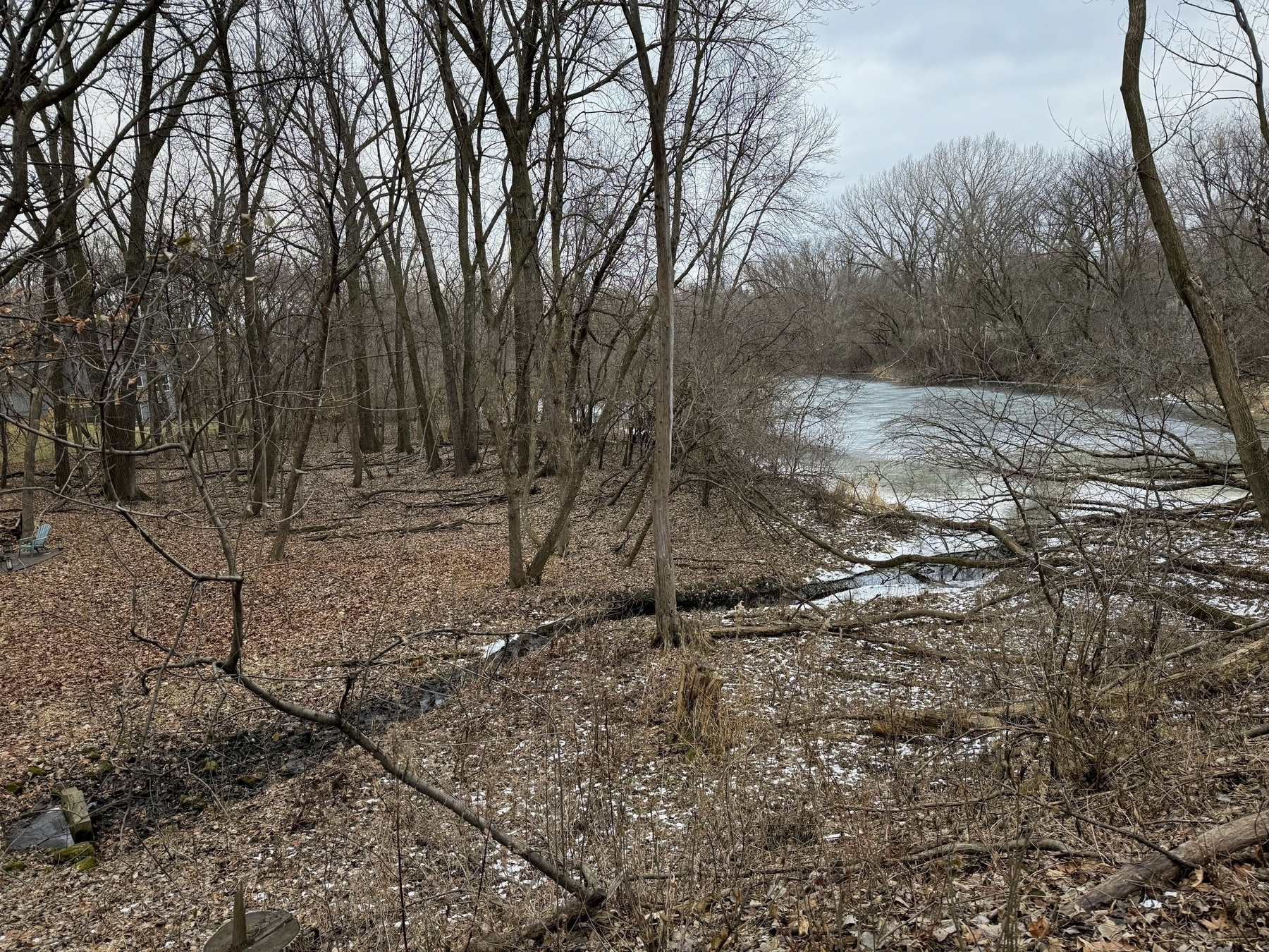 Bare trees stand still in a winter forest, amidst fallen leaves and small patches of snow, framing a partially frozen pond in the background under a cloudy sky.