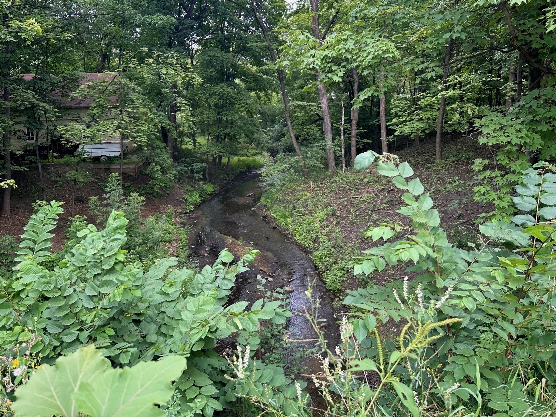 A small stream flows through a forested area surrounded by dense green foliage, with a partially visible house or building in the background.