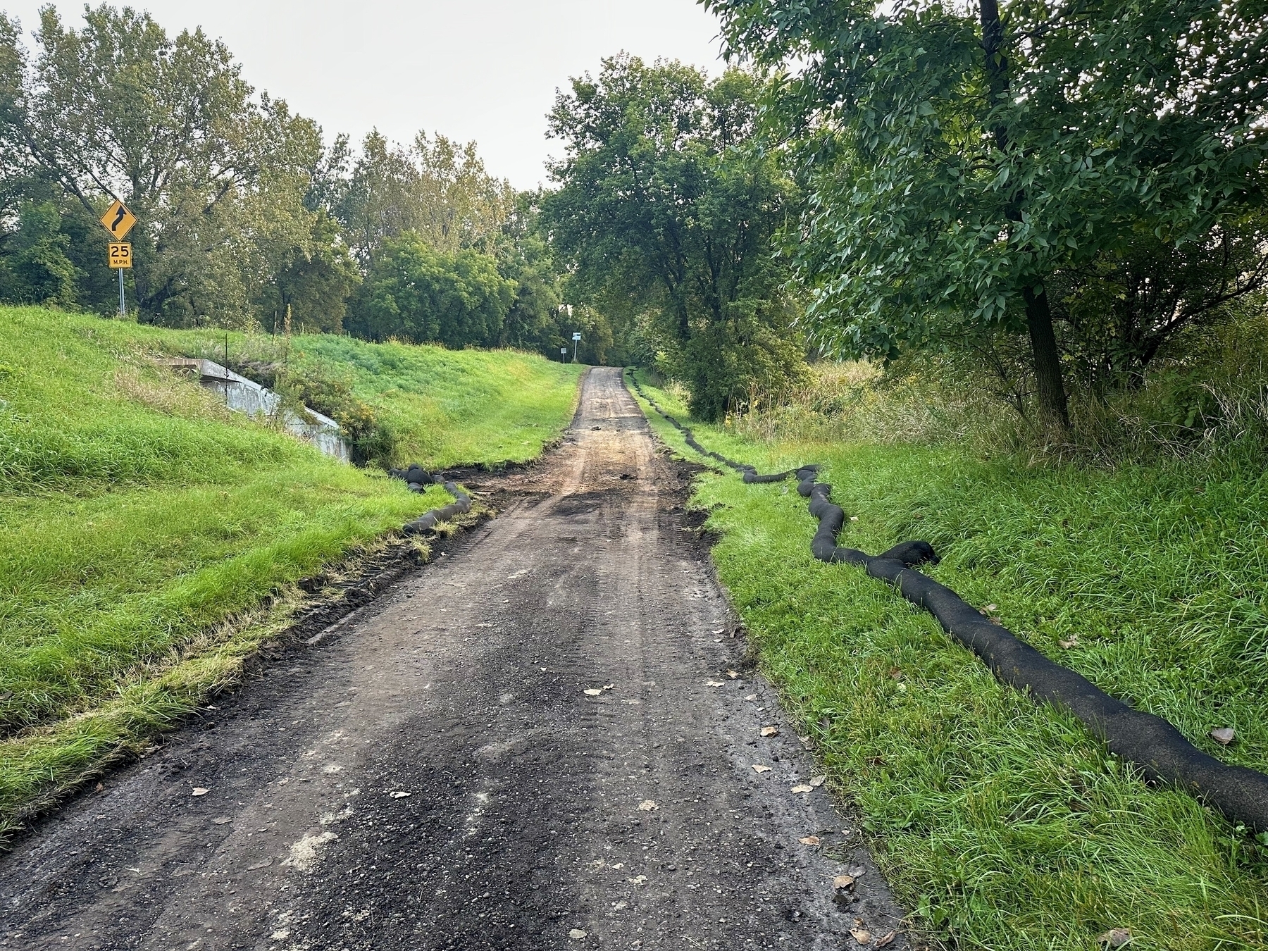 Dirt road leads uphill through a grassy area with trees.