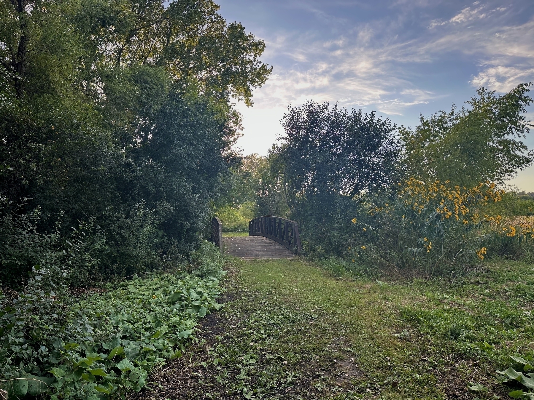 A wooden footbridge spans over a grassy path, surrounded by dense trees and bright yellow flowers, leading towards an open field under a partly cloudy sky.