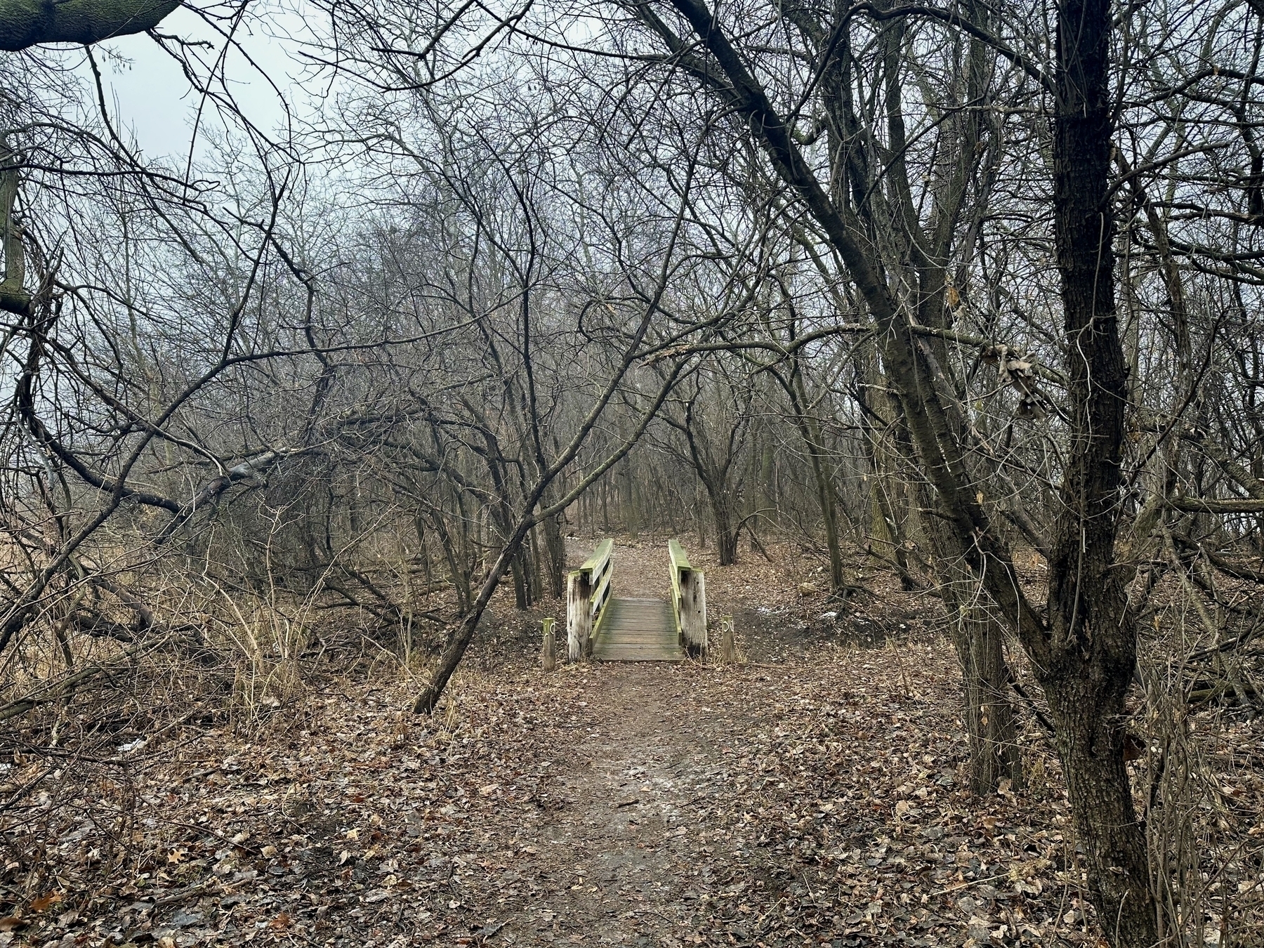 A serene, yet eerie pathway in a barren forest leading to a small, old wooden bridge amidst leafless trees. The sky is overcast, casting a grey hue over the entire scene.