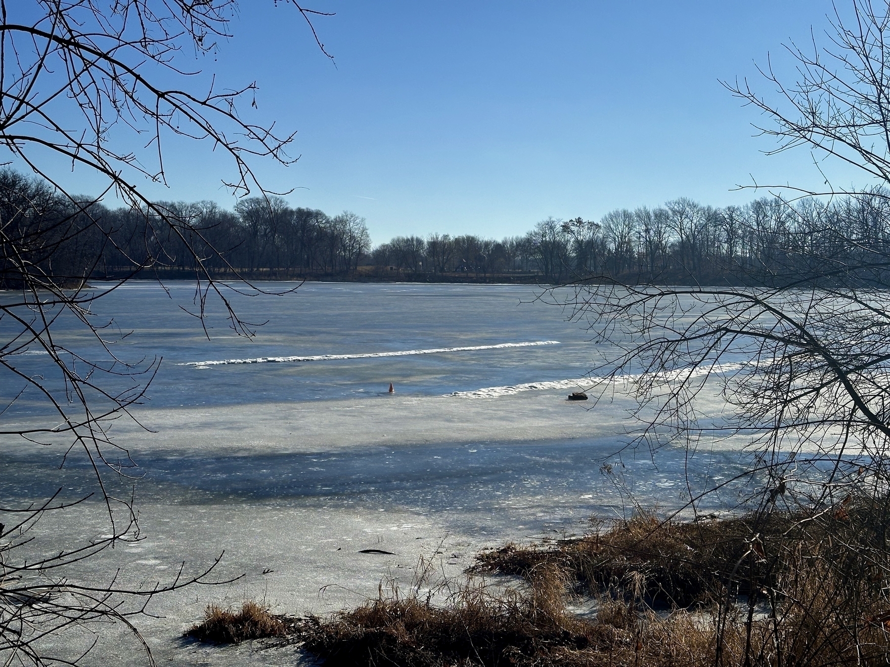 A frozen lake, with tracks on the surface, is flanked by bare trees and a clear blue sky.