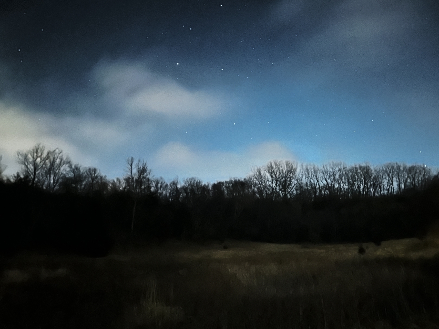 A nighttime landscape showing a field with dry grass, a line of leafless trees against a dark sky scattered with stars, and clouds with a hint of light blue, likely from the moon or residual twilight. The image has a painterly, soft-focus