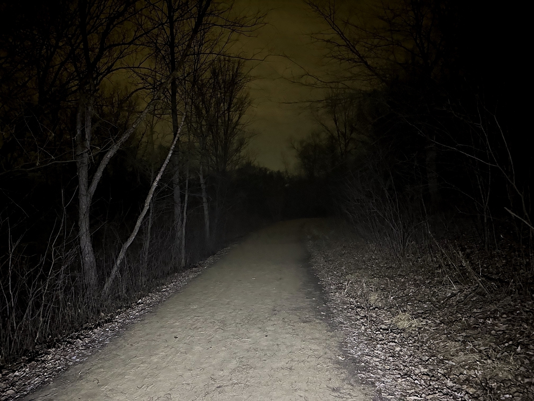 A dimly lit dirt path leads through a dense, dark forest at night, creating a moody and mysterious atmosphere.
