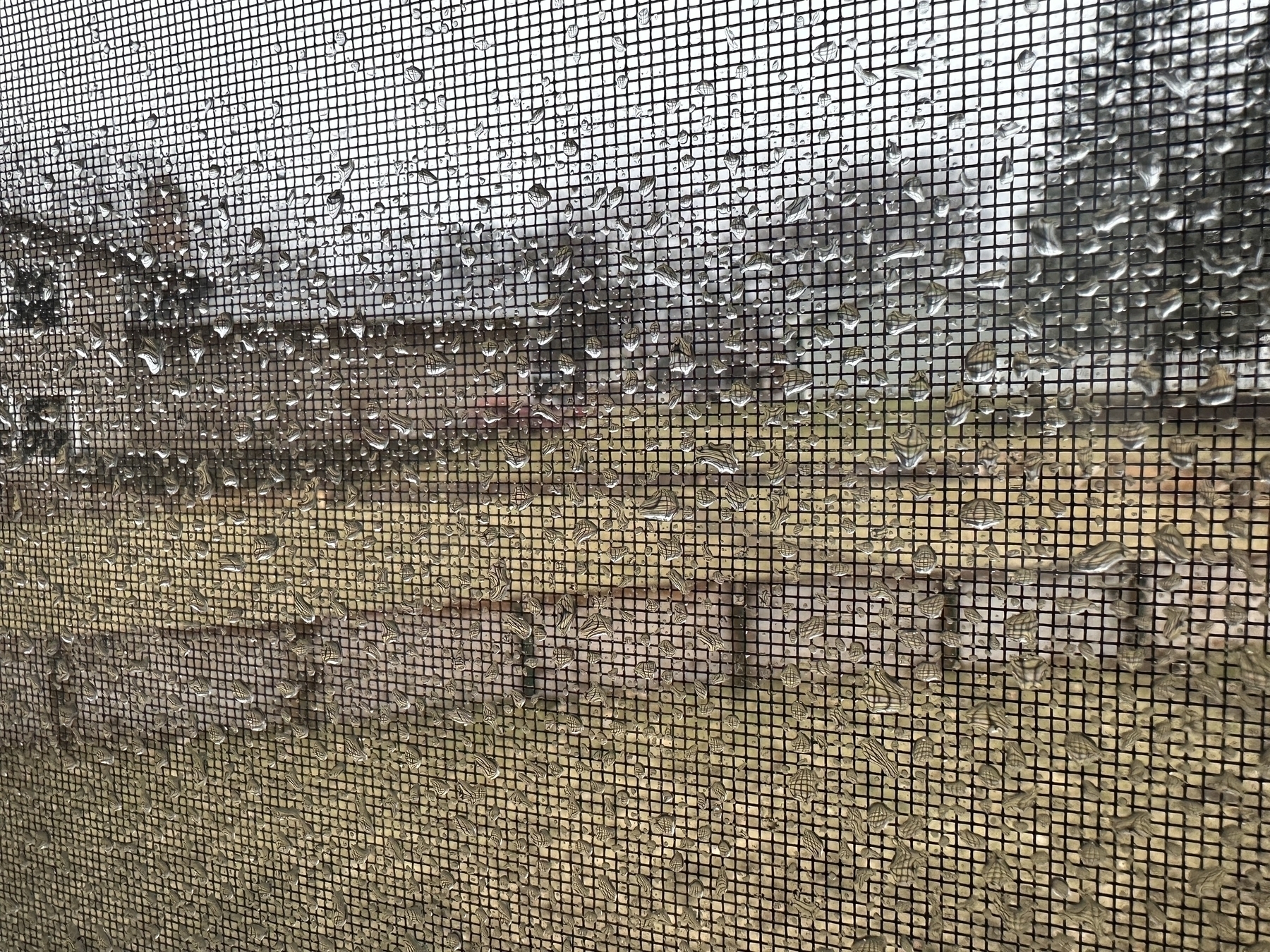 Raindrops cling to a screen, partially obscuring the view of a suburban landscape with a backyard hockey rink, houses and bare trees.