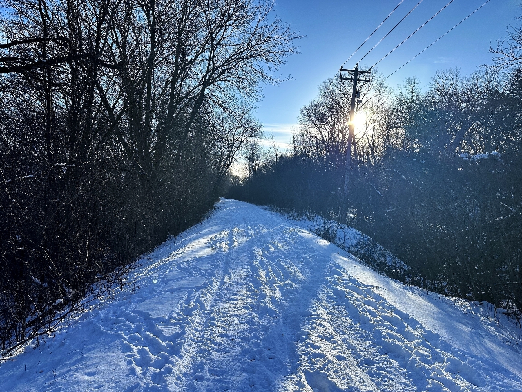 A snow-covered path stretches between bare trees under a clear blue sky, with a sun peeking through branches and power lines overhead.