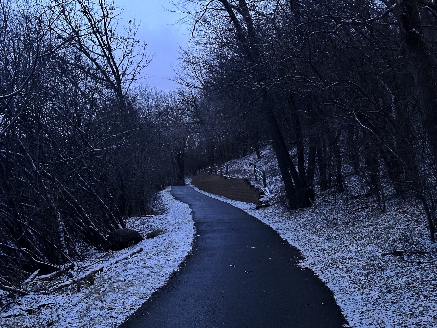 A winding pathway dusted with snow meanders through bare trees; the atmosphere is dusk-tinted and serene.