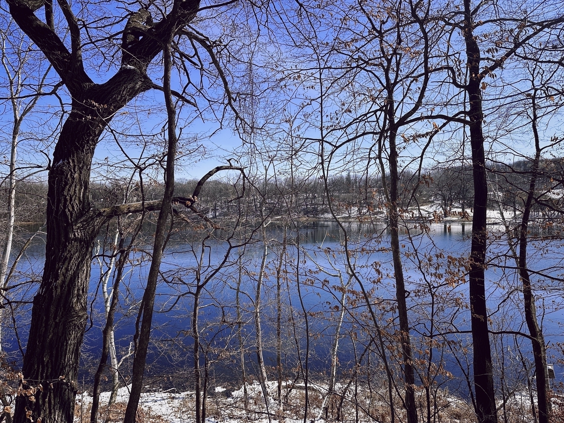 Bare trees frame a view of a calm lake with scattered snow on the ground under a clear blue sky.