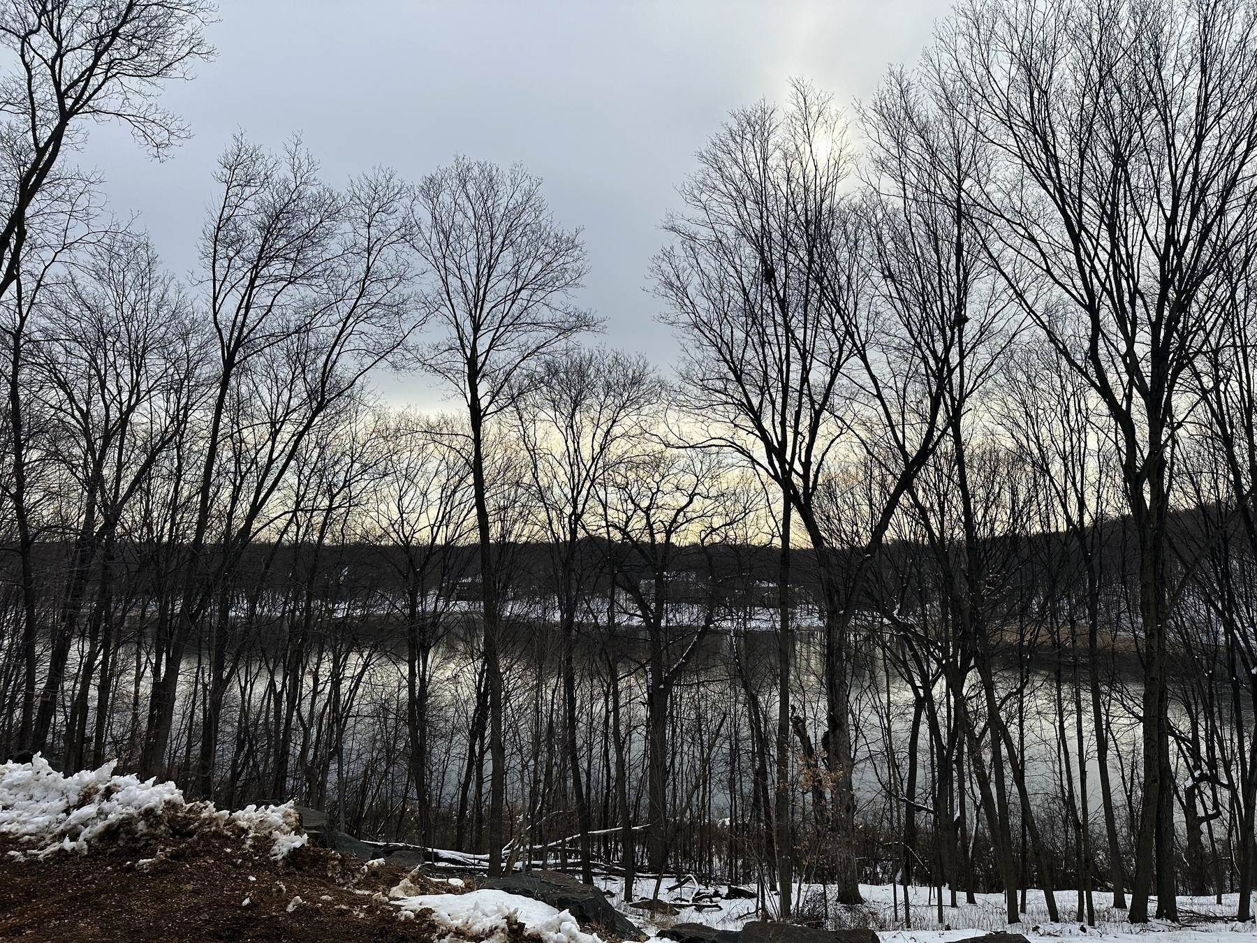 Bare trees silhouette against a cloudy sky, overlooking a calm lake with remnants of snow on the ground; a serene winter landscape.