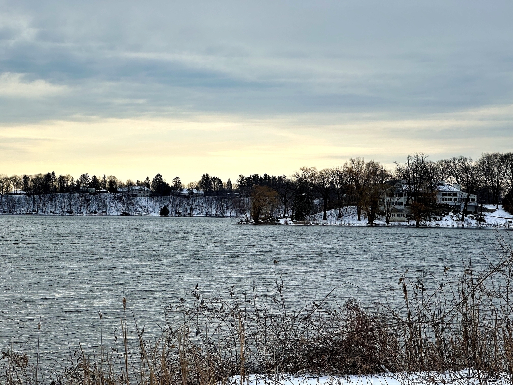 A serene lake with rippled water, foreground of dried reeds, backdrop of snow-covered trees and houses under a cloudy sky.