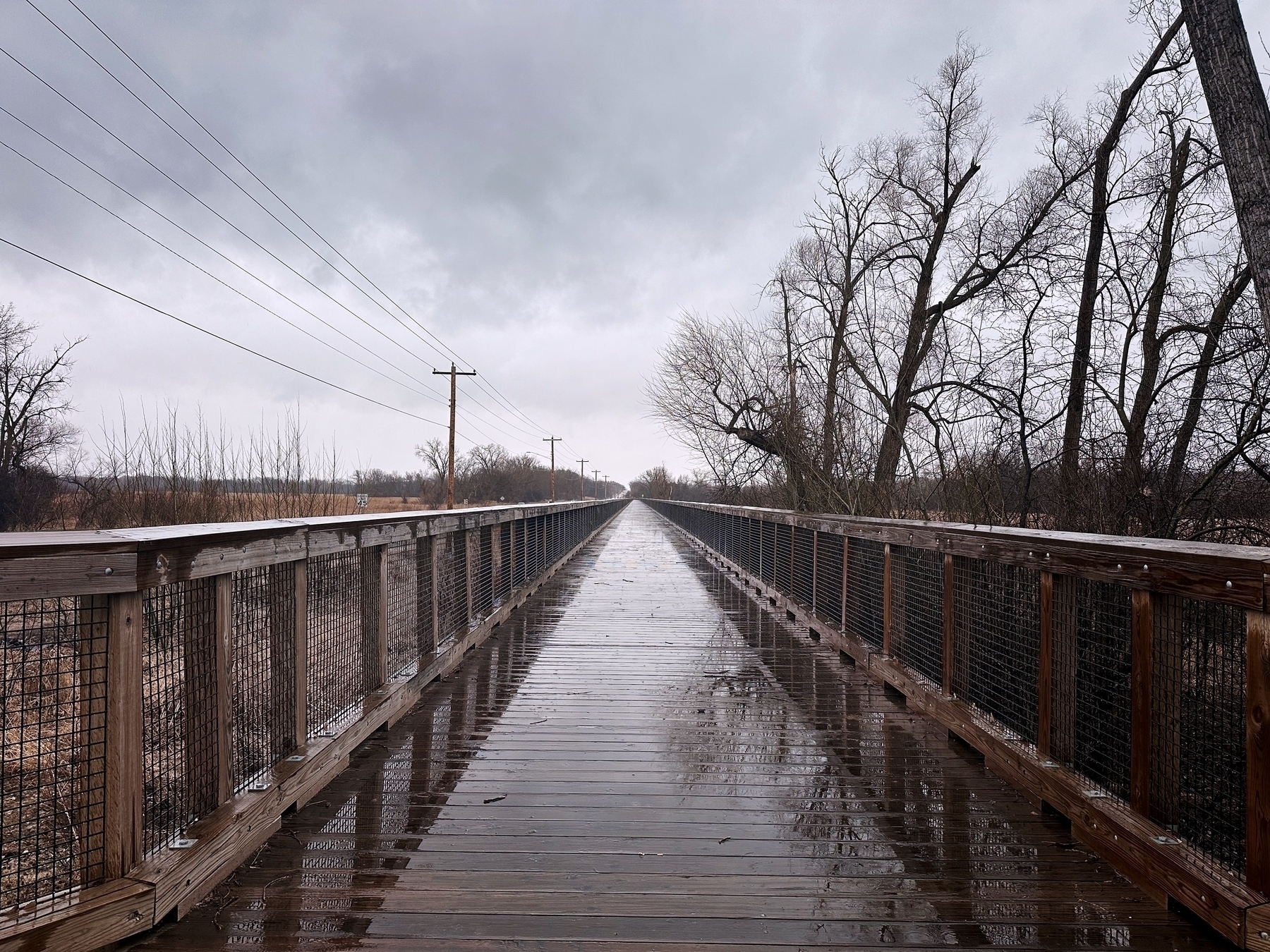 A wet wooden bridge extends into the distance on an overcast day, flanked by bare trees and power lines.