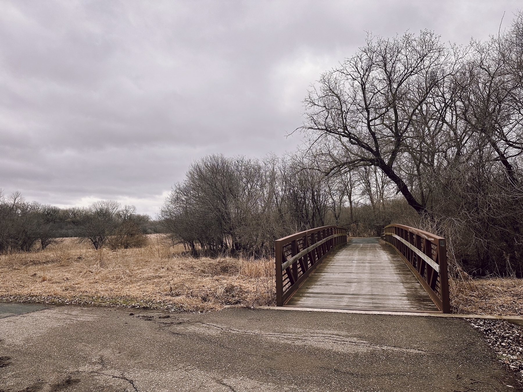 一座木制人行桥延伸到一片草地上，通向阴云密布的冬季光秃秃的林地。