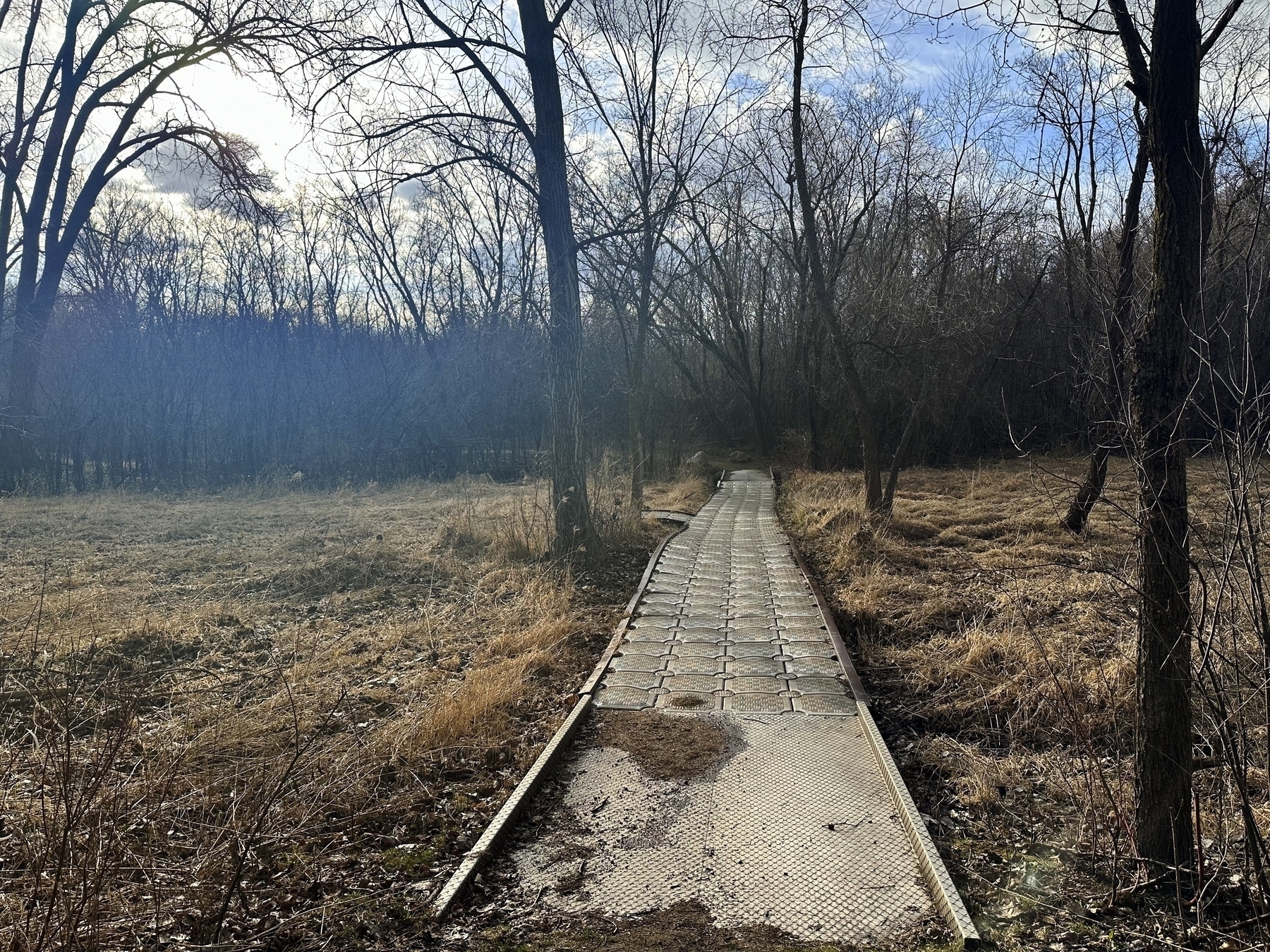 A plastic box boardwalk meanders through dry grassland with leafless trees under a partly cloudy sky.