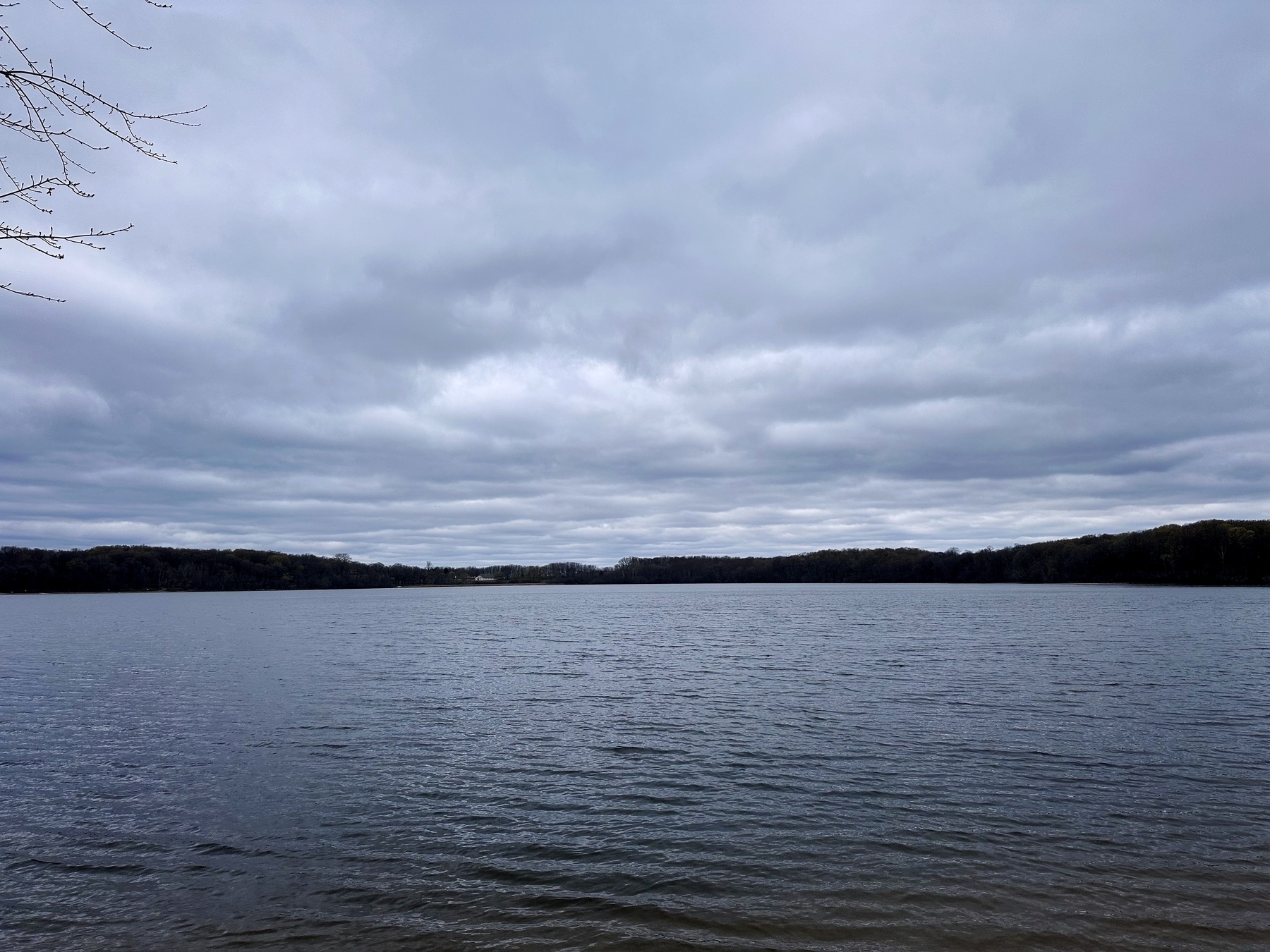 阴云密布的天空下平静的湖泊，远处的树木环绕，呈现出宁静、广阔的户外景色。