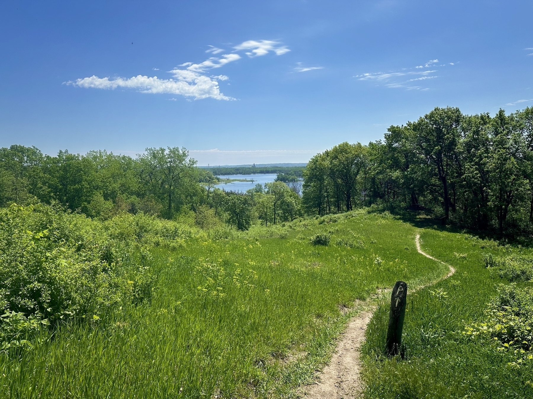 A narrow dirt path winds through a dense green meadow surrounded by trees on a bright sunny day with a river visible in the distant background under a clear blue sky.