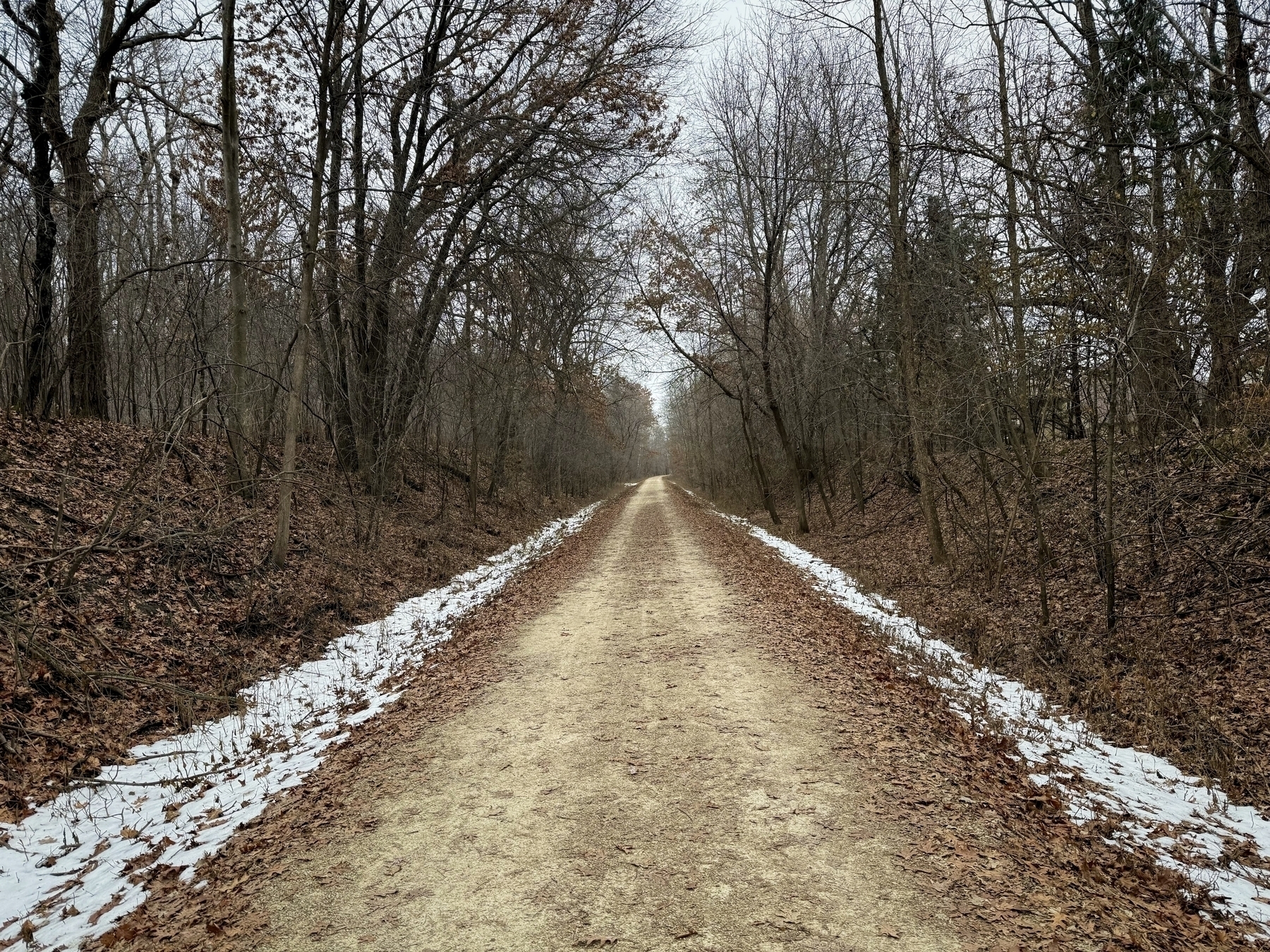 Dirt path stretches forward, bordered by sparse snow and dry leaves, surrounded by leafless trees in a quiet forest setting under an overcast sky.