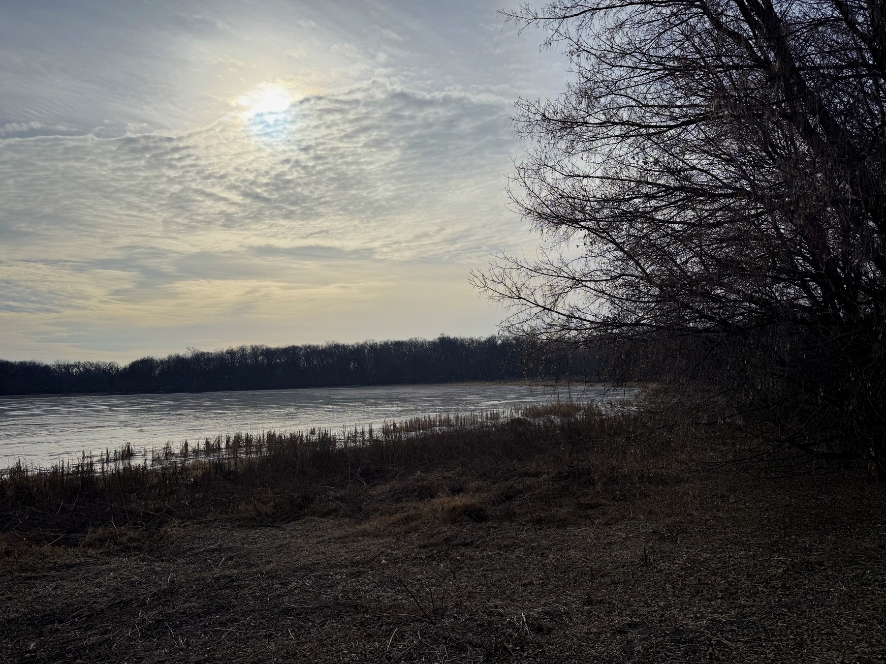 Bare trees stand silently near a frosty riverbank, under a cloudy sky, with the sun peeking through. The horizon is lined with distant, leafless woods.