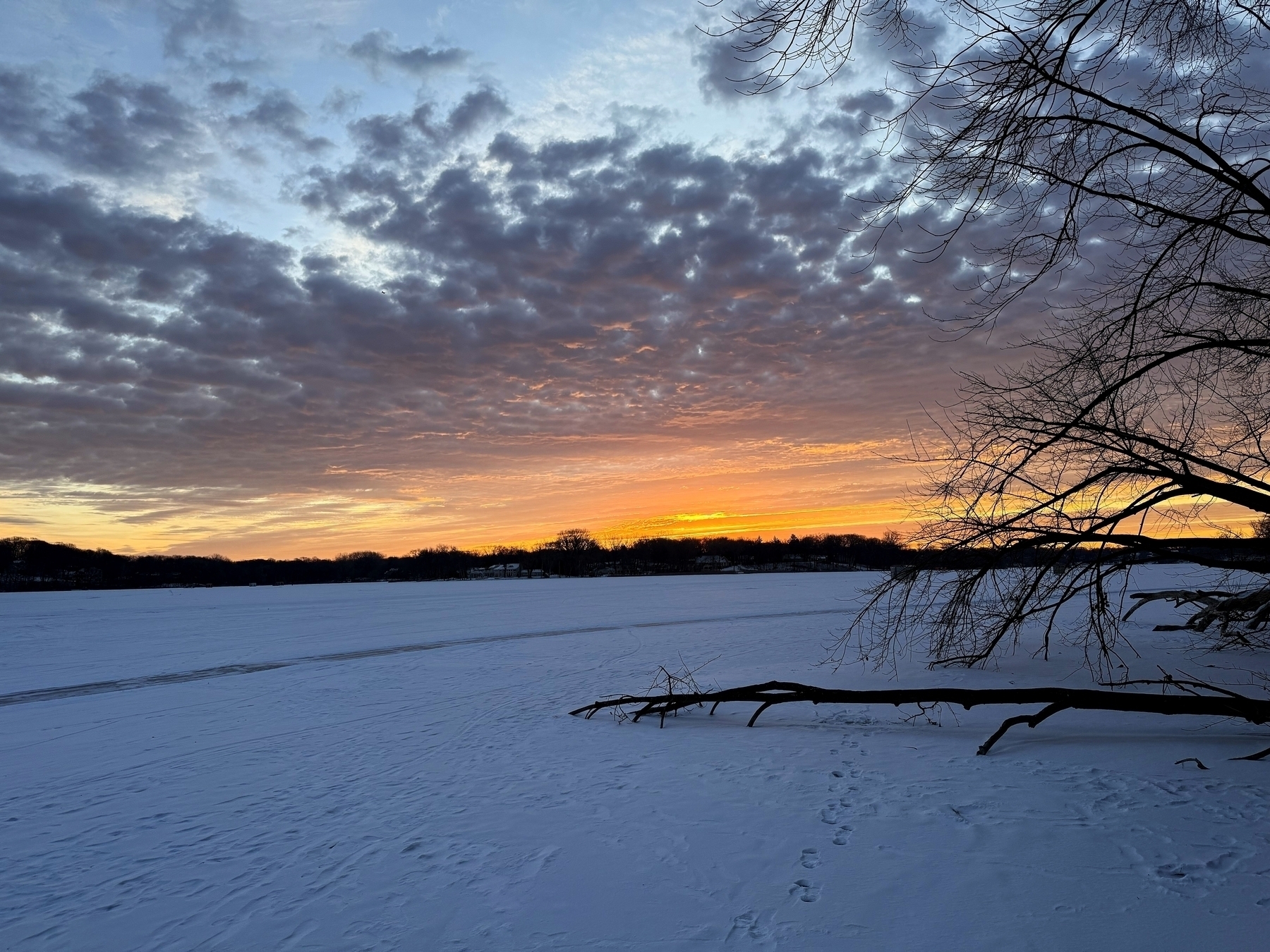 A snow-covered landscape features a fallen tree resting on the ground, with a vibrant sunset casting warm colors across a cloudy sky, silhouetting distant trees on the horizon.