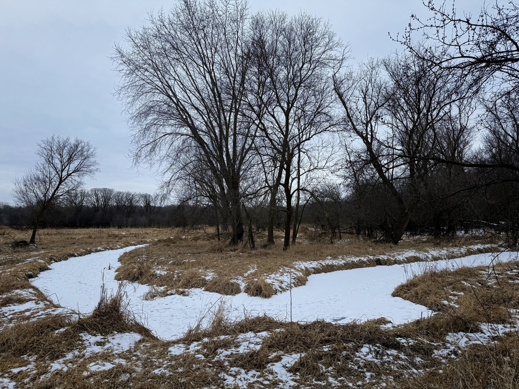 A frozen creek winds through a winter landscape, flanked by dry grass and leafless trees under an overcast sky, creating a serene, stark scene of nature at rest.