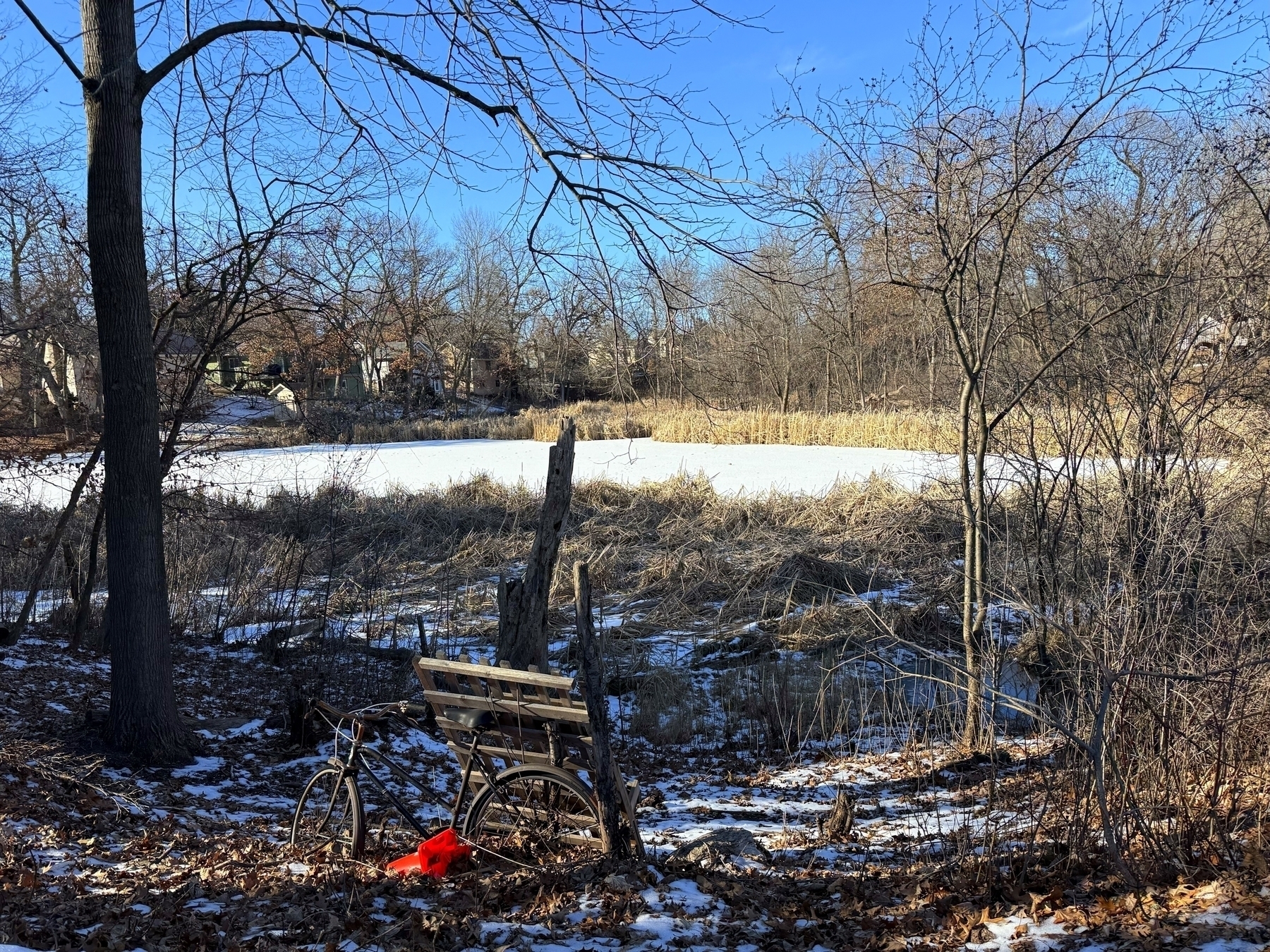 A bench with a bicycle in front sits unused amidst fallen leaves and patches of snow, near a frozen pond surrounded by leafless trees in a quiet wooded area.