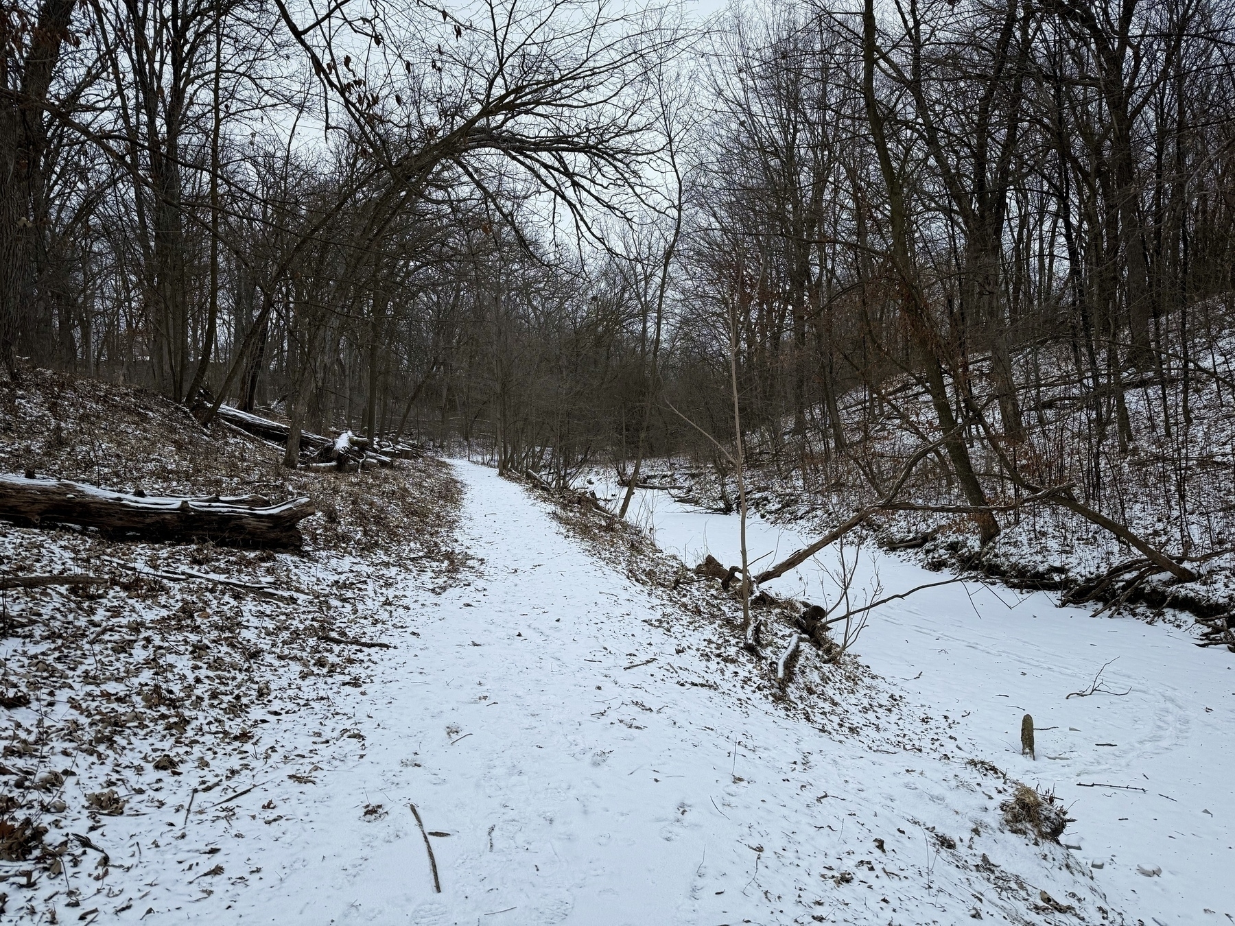 A snow-covered path winds through a leafless, wooded area.