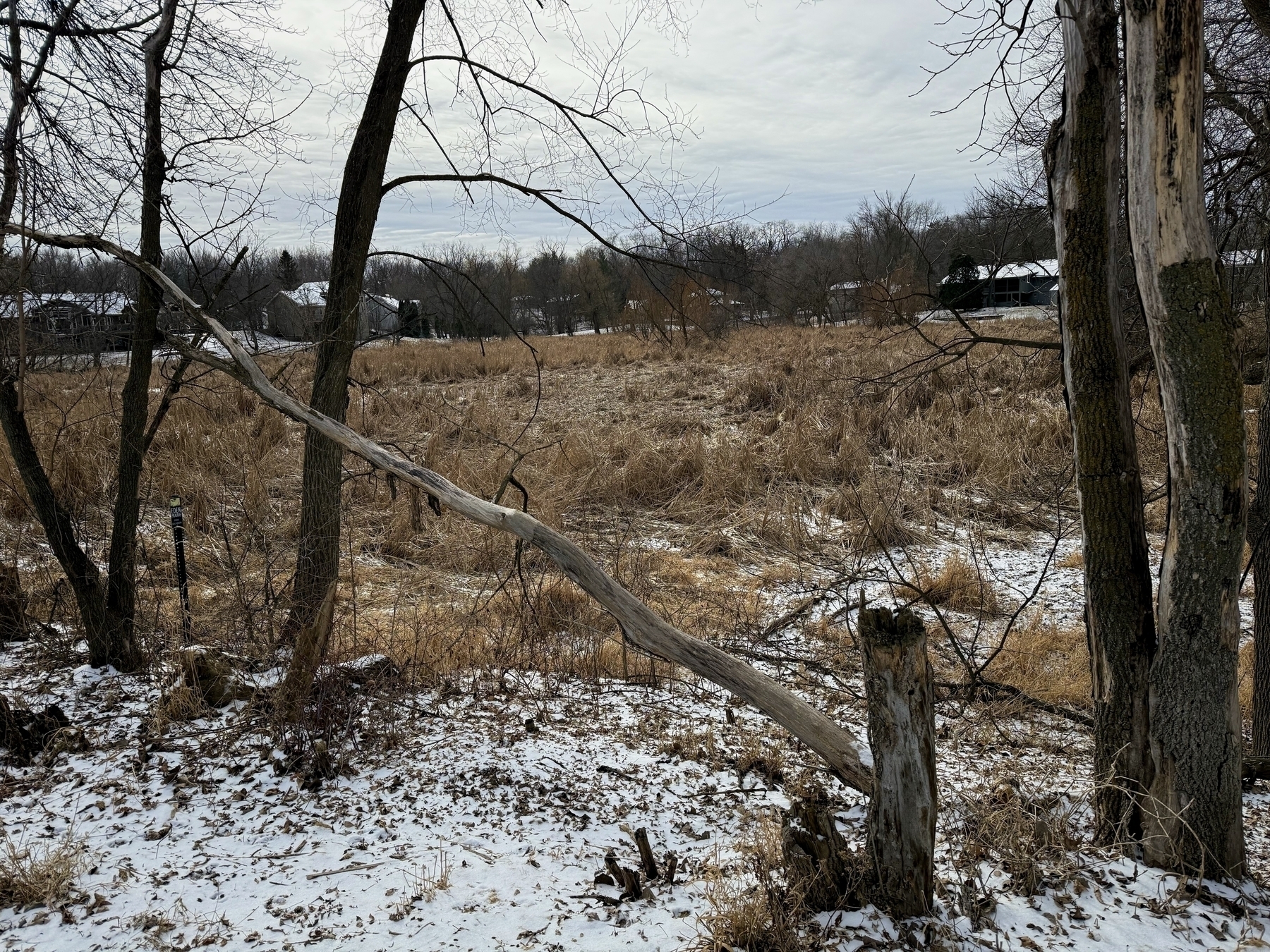 A wintry landscape features bare trees, a fallen tree trunk, and a snowy field under a cloudy sky.