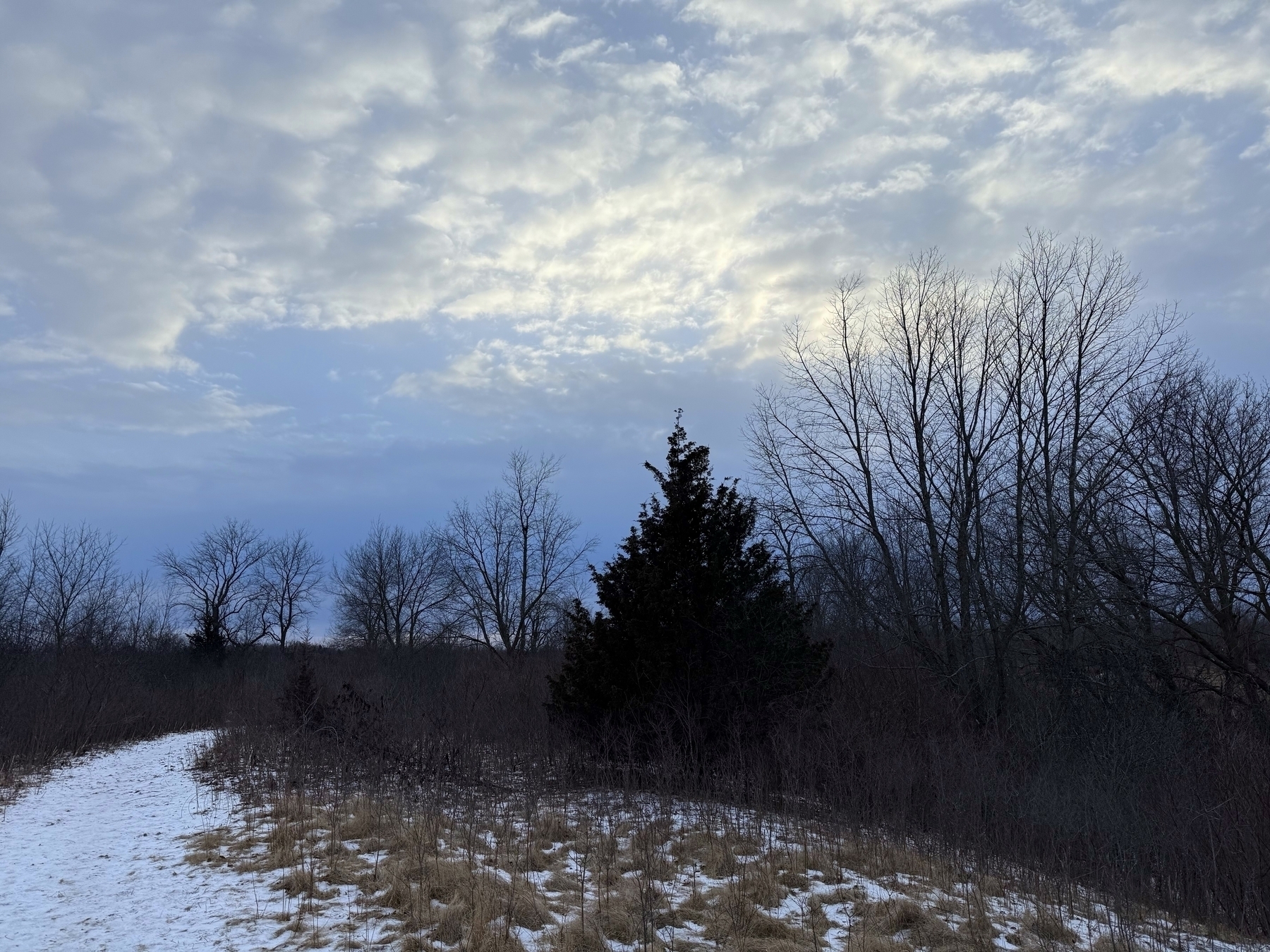 A path winds through a snowy, grassy landscape, bordered by bare trees and a single evergreen, under a sky filled with scattered clouds.