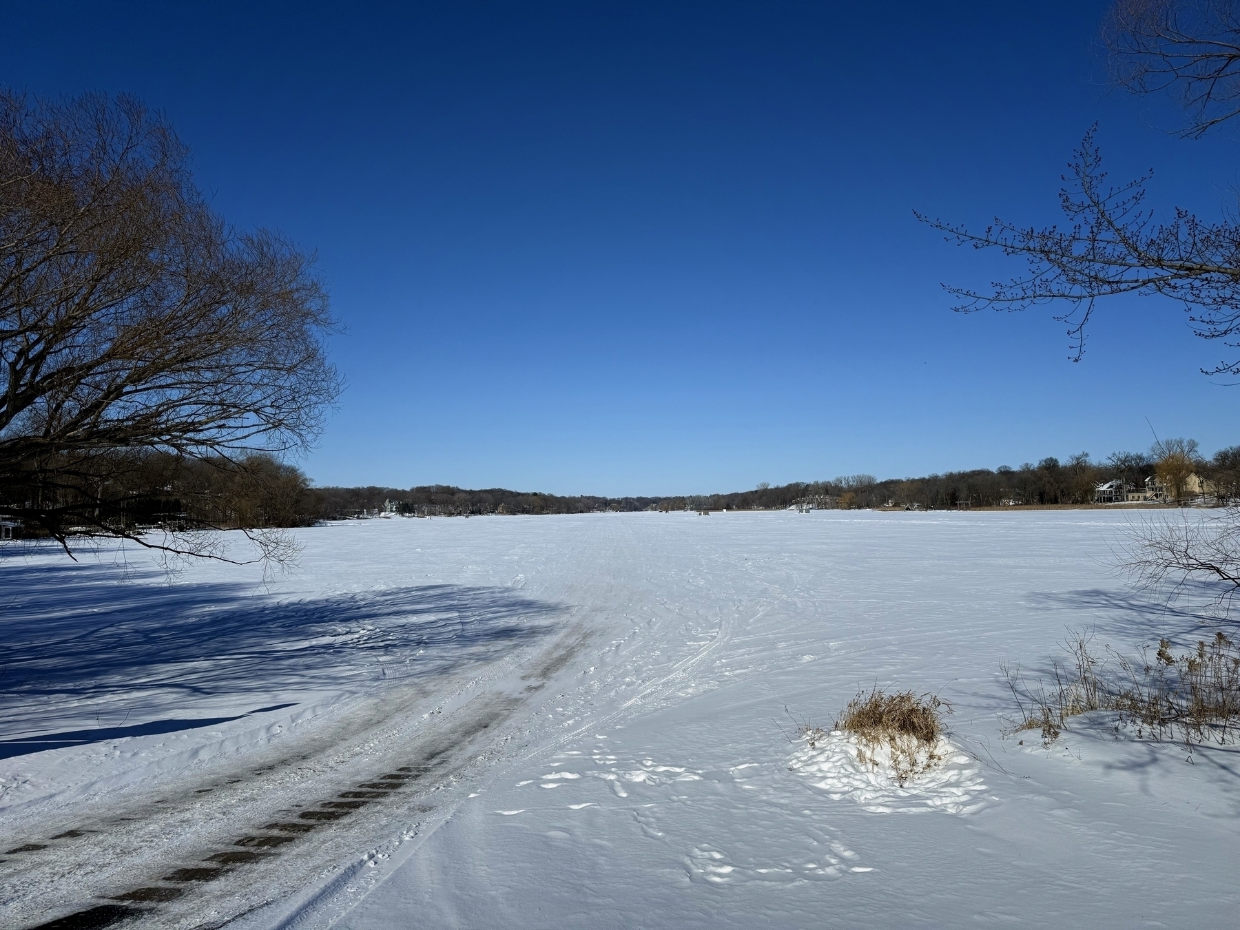 Snow-covered lake with tire tracks crossing it, surrounded by leafless trees and distant houses under a clear blue sky.