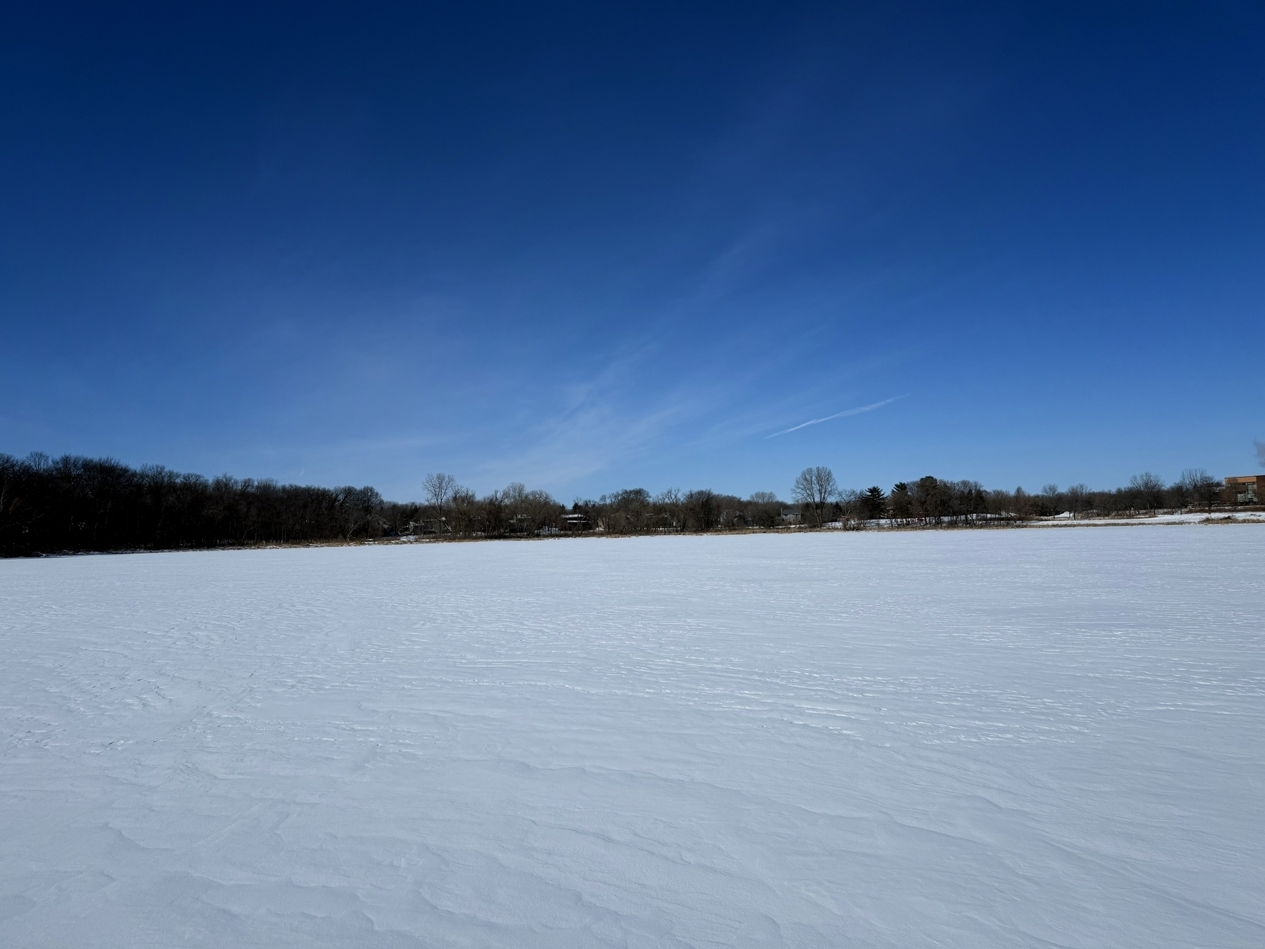 Snow covers a wide, open field bordered by a line of leafless trees in the distance, under a clear blue sky.