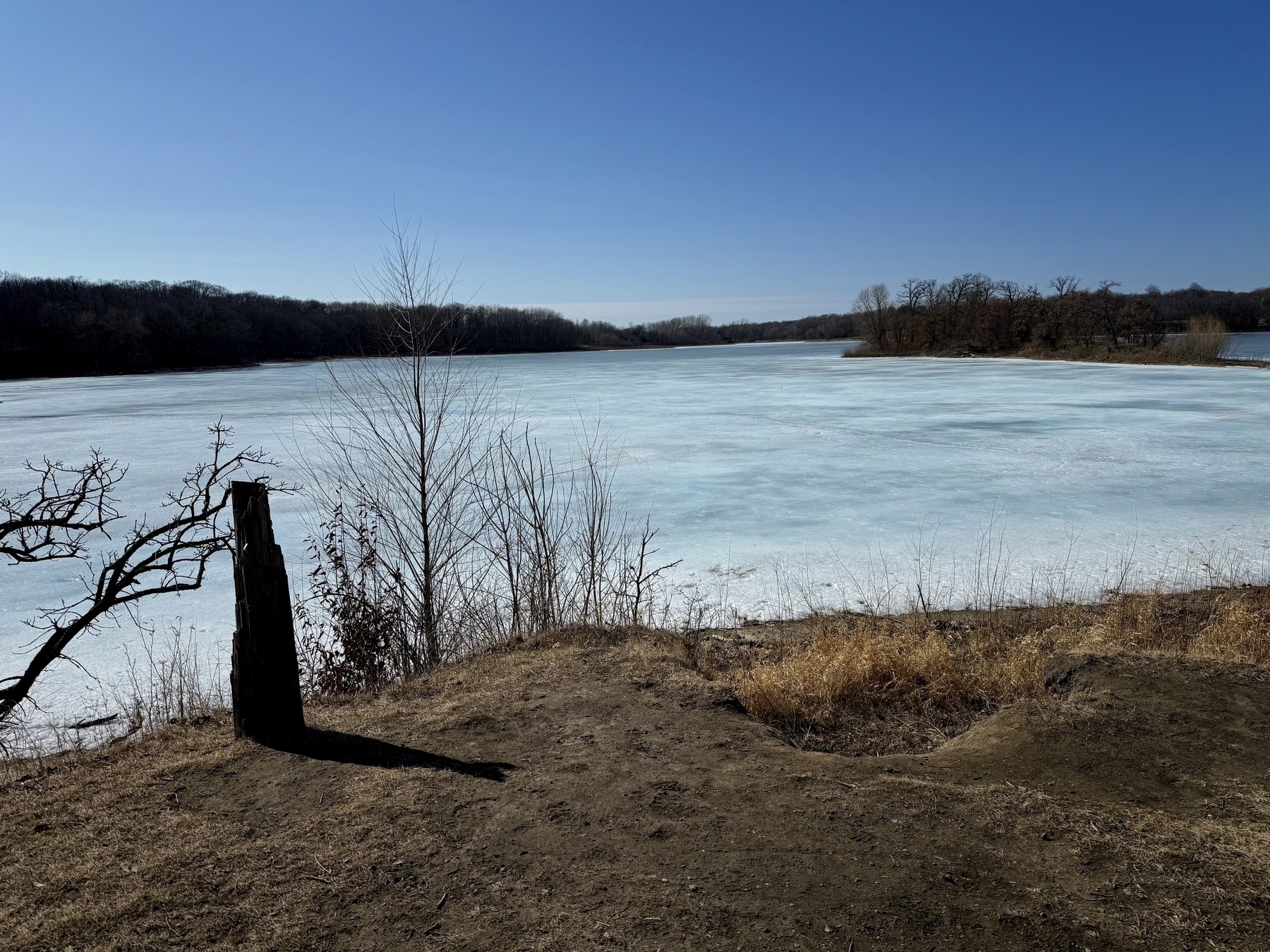 A frozen lake under a clear blue sky, with bare trees on the far shore. In the foreground, dry grass and shrubs are visible along the edge of the lake, accompanied by a single tree stump casting a shadow.|354x266