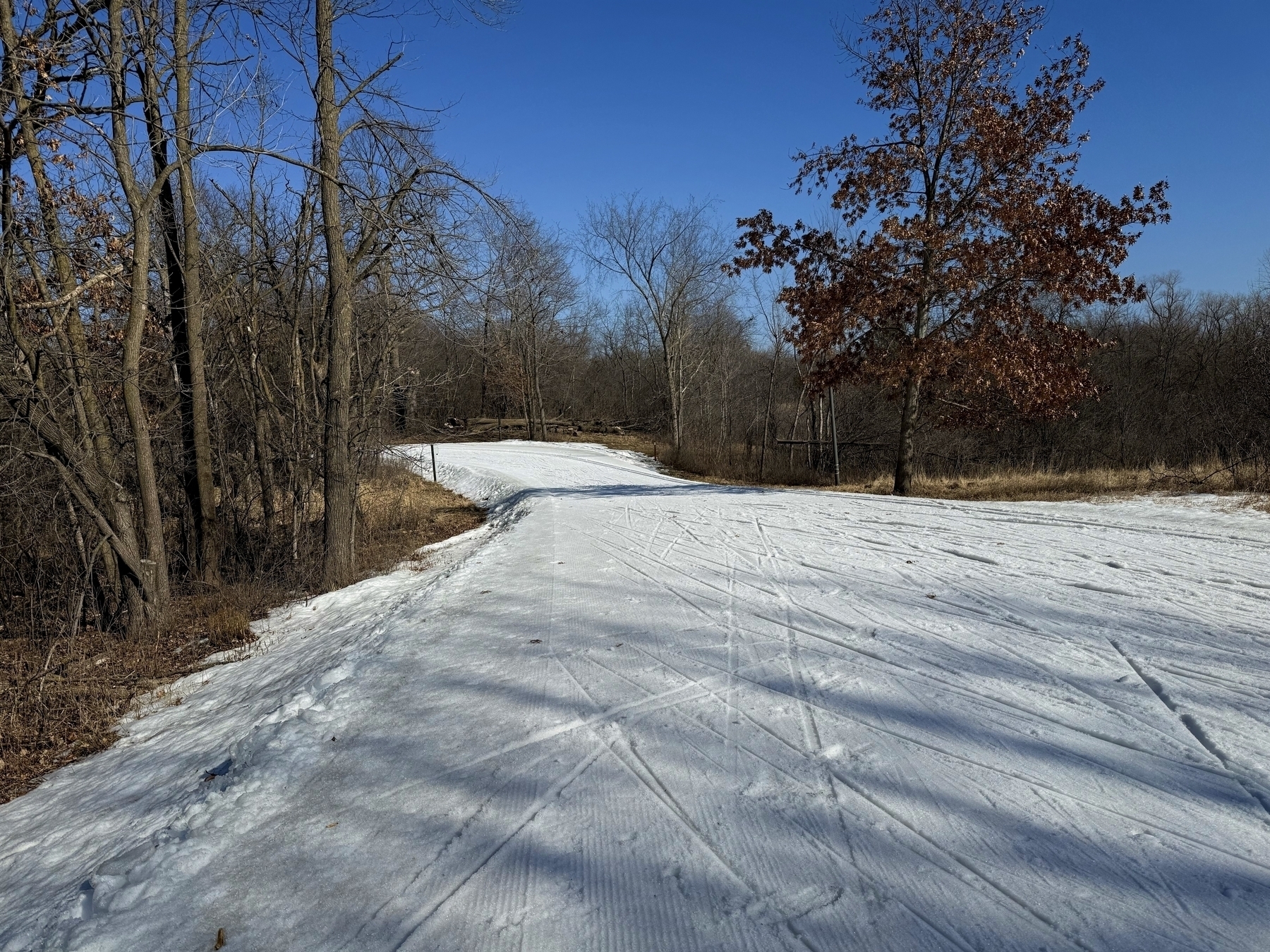 A snow-covered path winds through a forested area with bare trees. The sky is clear and blue, casting shadows of the trees onto the snow. A few trees retain some brown leaves, contrasting with the white snow and blue sky.