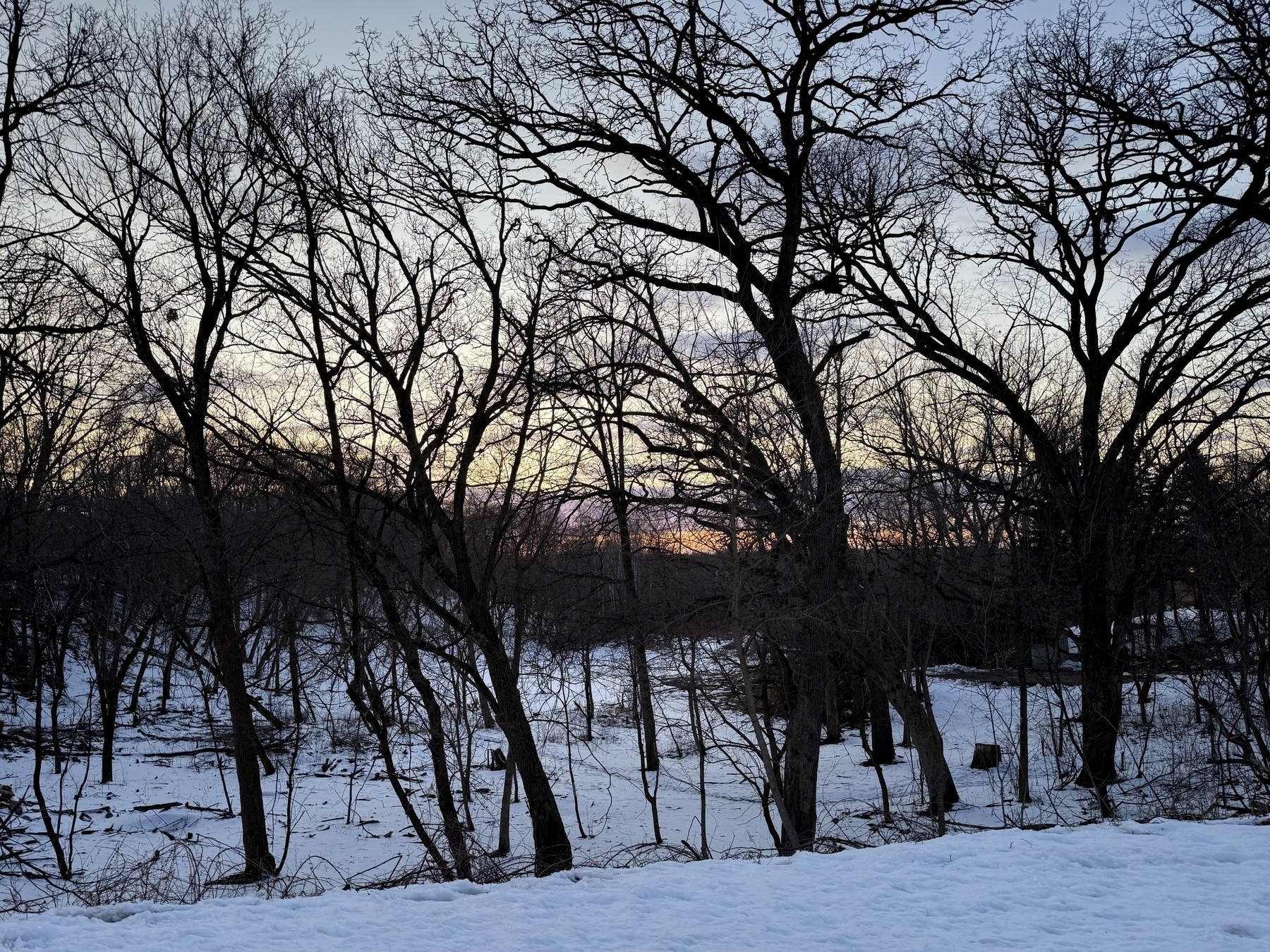 A winter landscape with bare trees silhouetted against a fading sunset sky. The ground is covered in snow, and the horizon shows a soft gradient of colors transitioning from light blue to hints of orange and pink. The scene conveys a serene, quiet atmosphere typical of late winter afternoons.