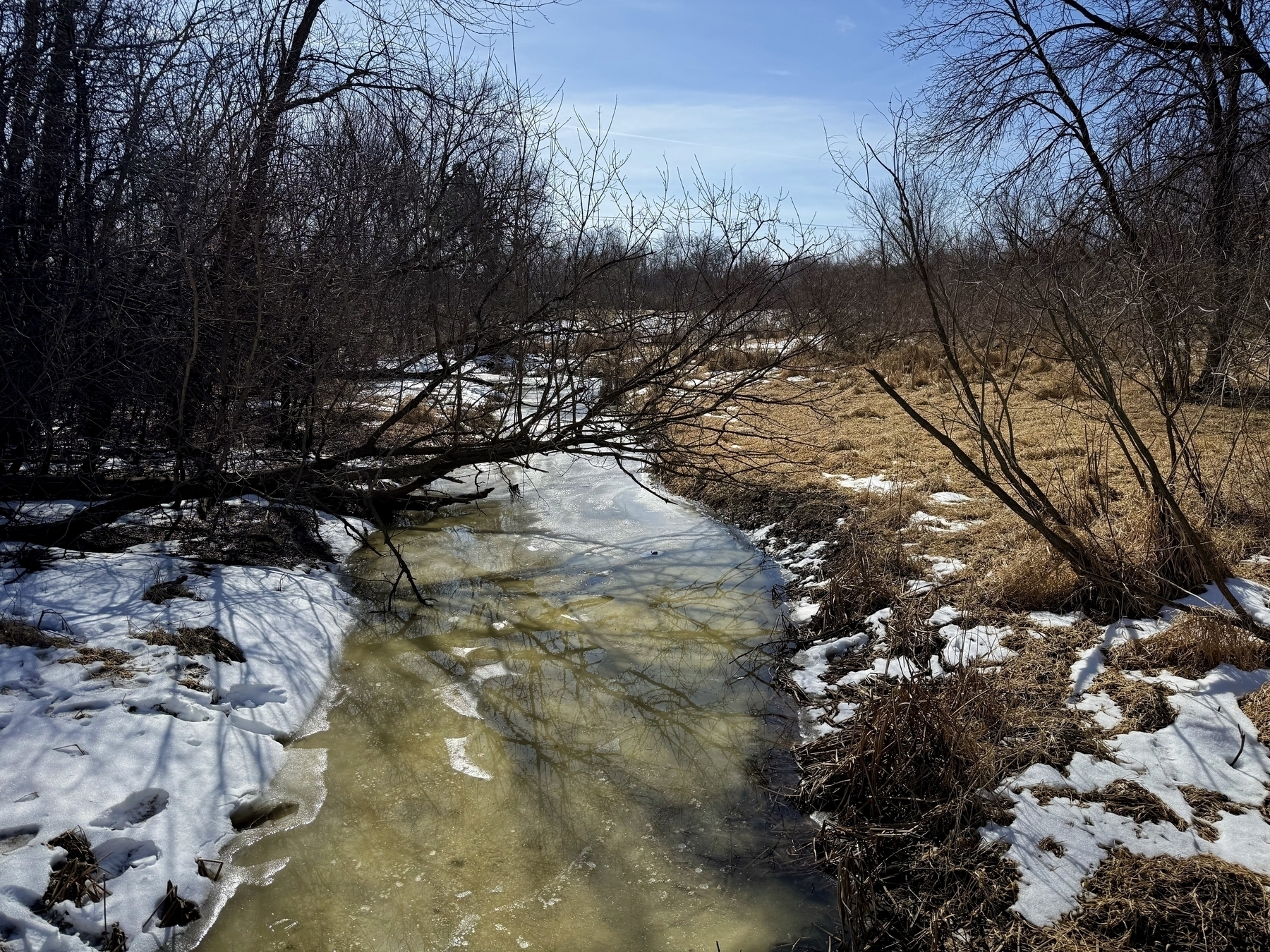 A partially frozen creek meanders through a winter landscape. Snow covers patches of the ground on both sides of the creek, with brown grasses and leafless trees surrounding the area. The sky is clear and blue, casting shadows across the snowy ground.