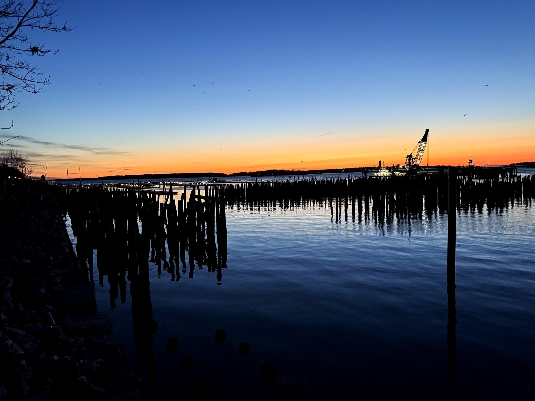 Silhouetted wooden pilings protrude from calm water at sunset, creating a stark contrast against the vibrant orange and blue sky. A large crane is visible on the horizon, illuminated against the fading light. The shoreline on the left is lined with trees, and the overall scene reflects a serene waterfront landscape.