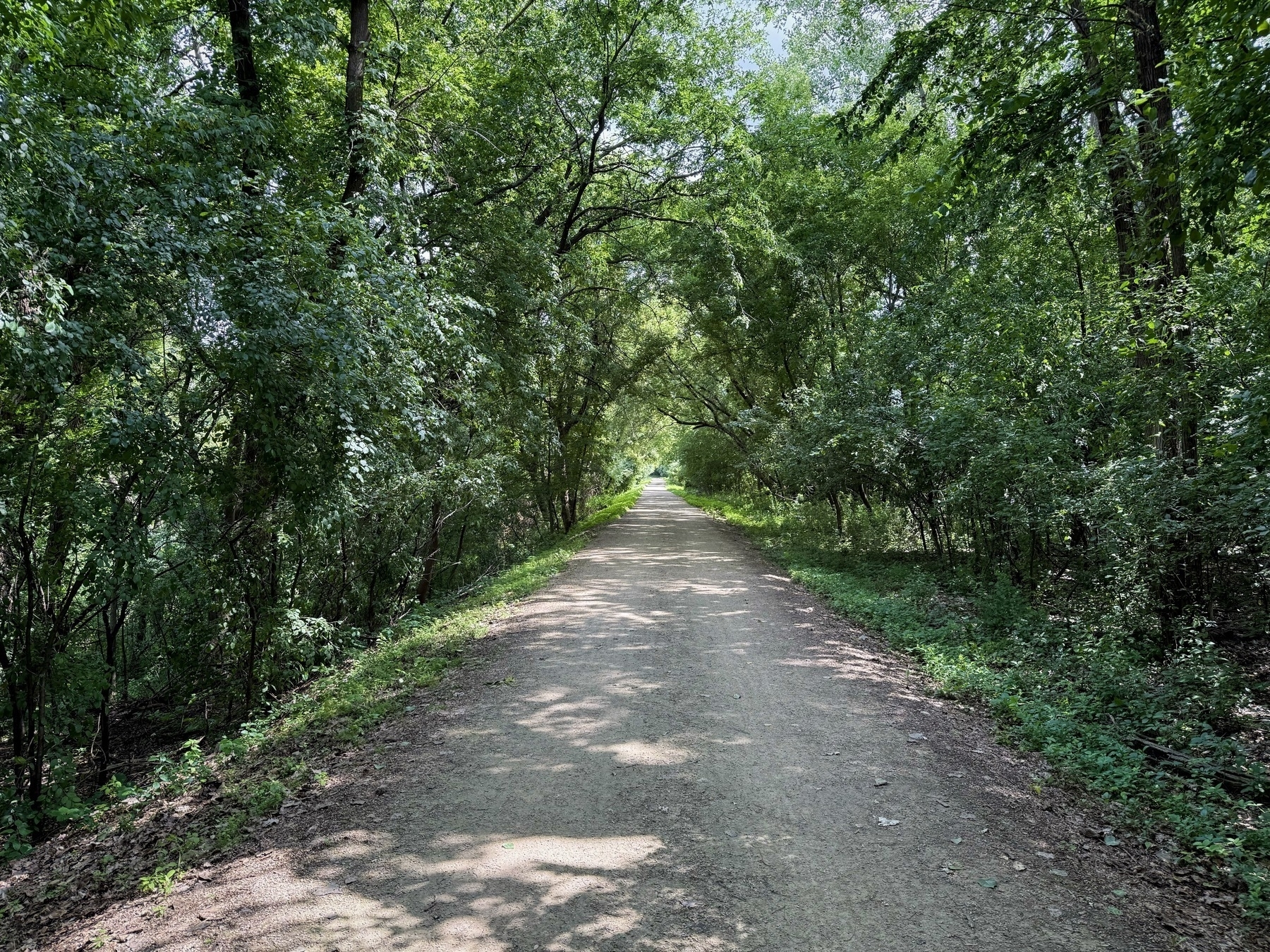 A dirt path stretches through a lush, green forest, with trees arching overhead and sunlight filtering through the leaves.