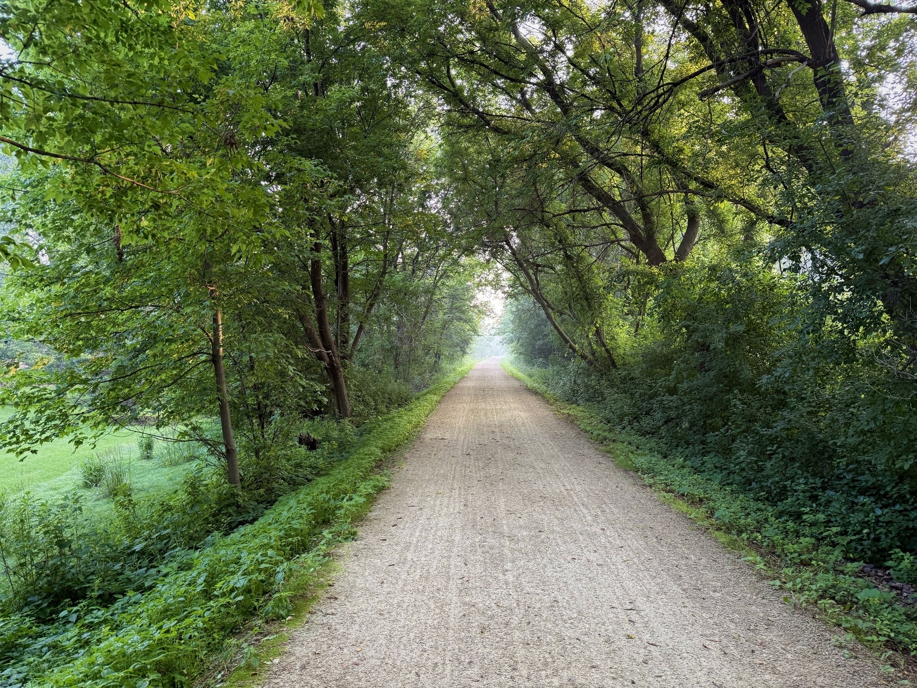 A gravel path lined with lush, green trees on both sides, leading into the distance under a canopy of branches.