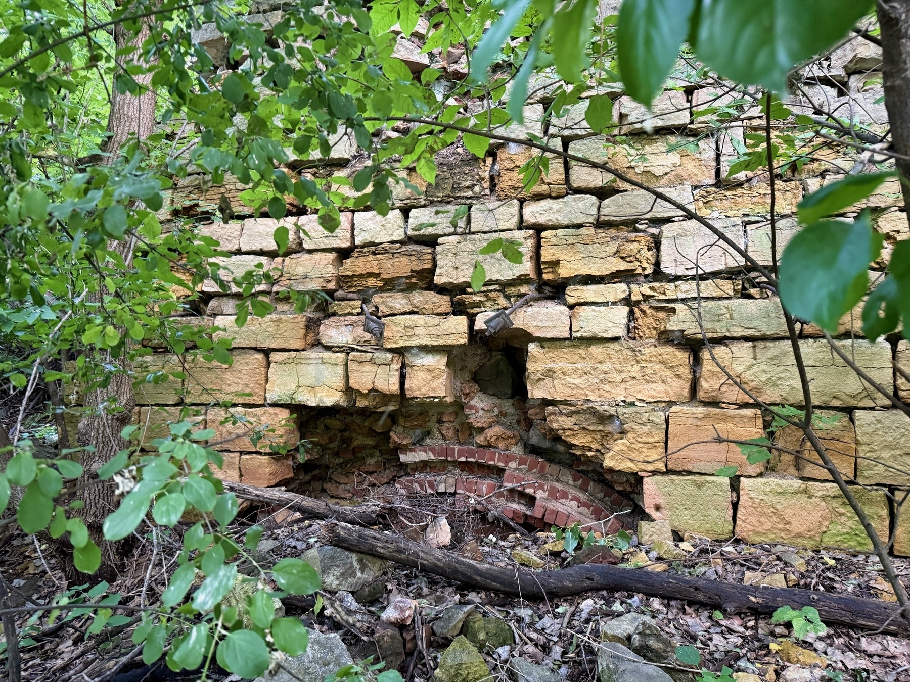 Overgrown greenery partially conceals an old, crumbling brick wall with missing sections, suggesting decay and abandonment in a forest setting.