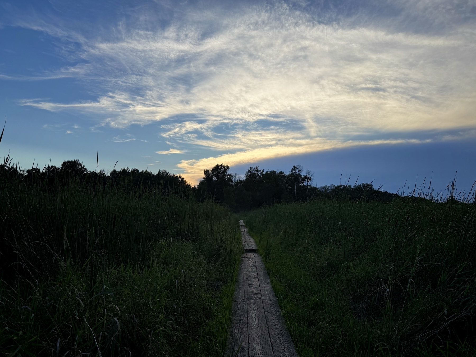 A wooden path cuts through tall grass under a expansive, cloud-streaked sky, with the sun setting behind distant trees.
