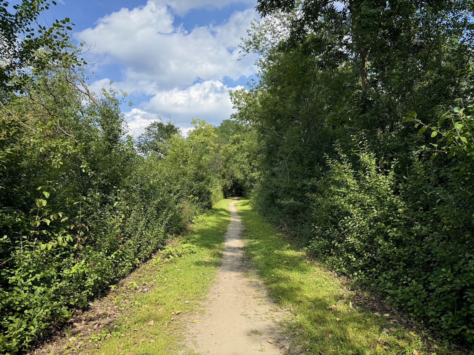 A narrow dirt path surrounded by dense green foliage under a partly cloudy blue sky.