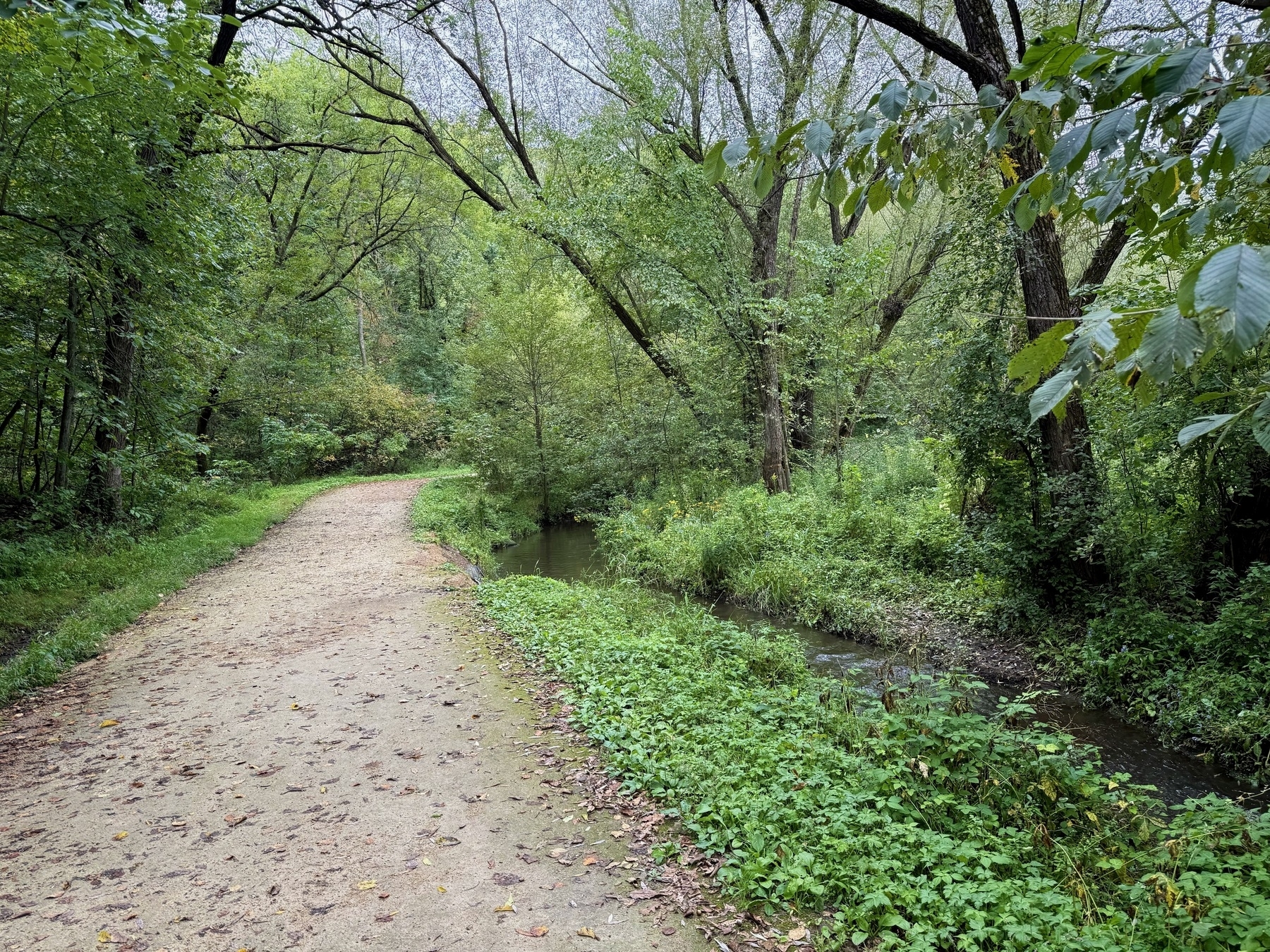 A dirt path curves through a lush, green forest, bordered by a small, clear stream. Tall trees with dense foliage arch overhead, creating a serene, natural canopy.
